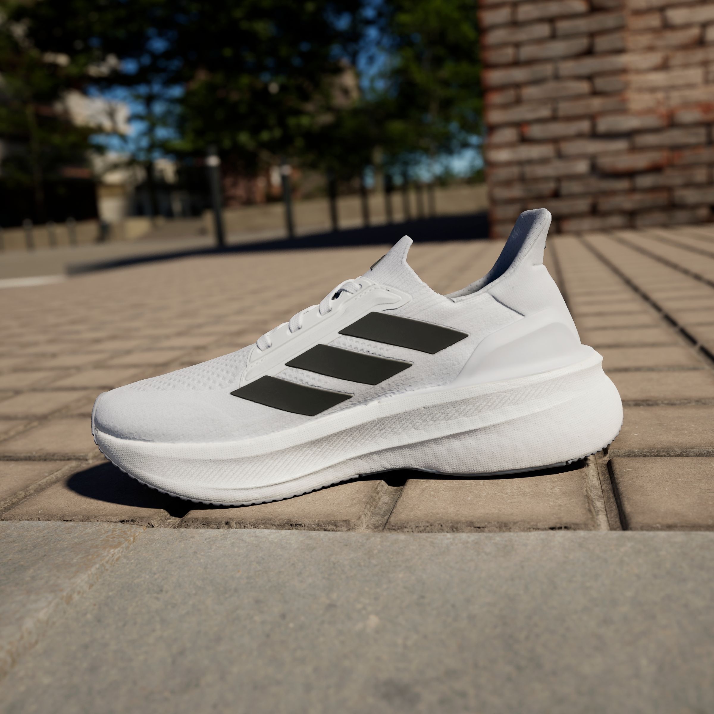 adidas Performance Laufschuh »ULTRABOOST 5X W«  EQT Colorway
