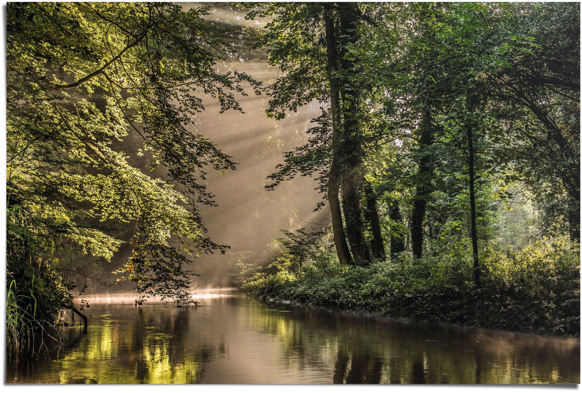 Image of Reinders Poster "Lichtspiel am Waldsee" 1 Stk. tlg.