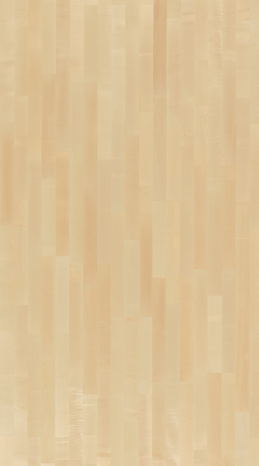 Image of PARADOR Parkett »Classic 3060 Natur - Bergahorn, lackiert«, (Packung), ohne Fuge, 2200 x 185 mm, Stärke: 13 mm, 3,66 m² bei Ackermann Versand Schweiz