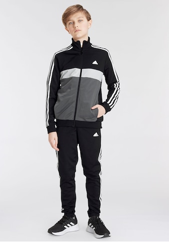 adidas Sportswear Trainingsanzug »ESSENTIALS 3-STREIFEN TIBERIO«, (2 tlg.) kaufen