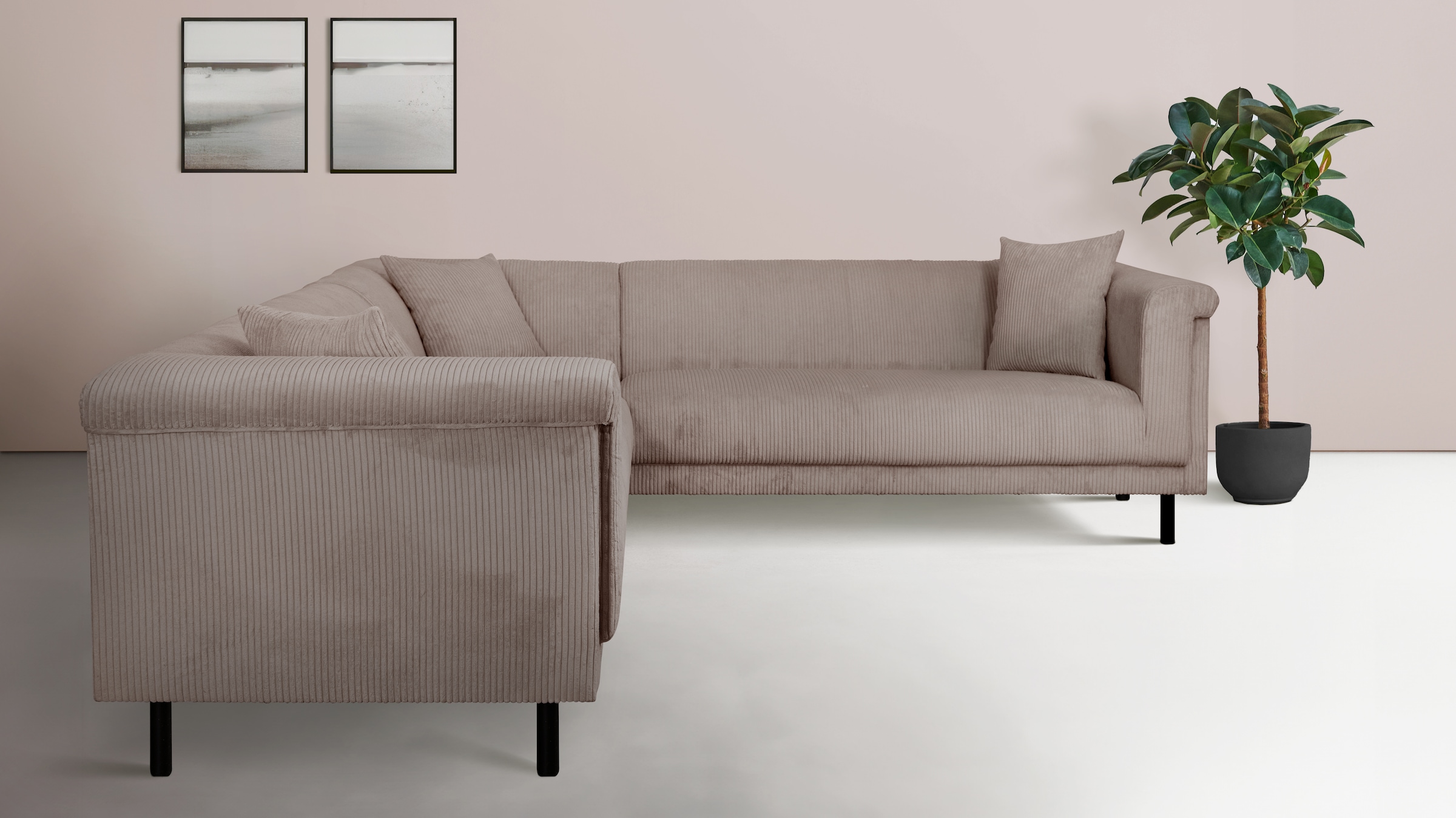 Home affaire Ecksofa »AGNIA L-Form   B/T/H: 244/244/71 cm« incl. Zierkissen, gleichschenklig, auch in Cord
