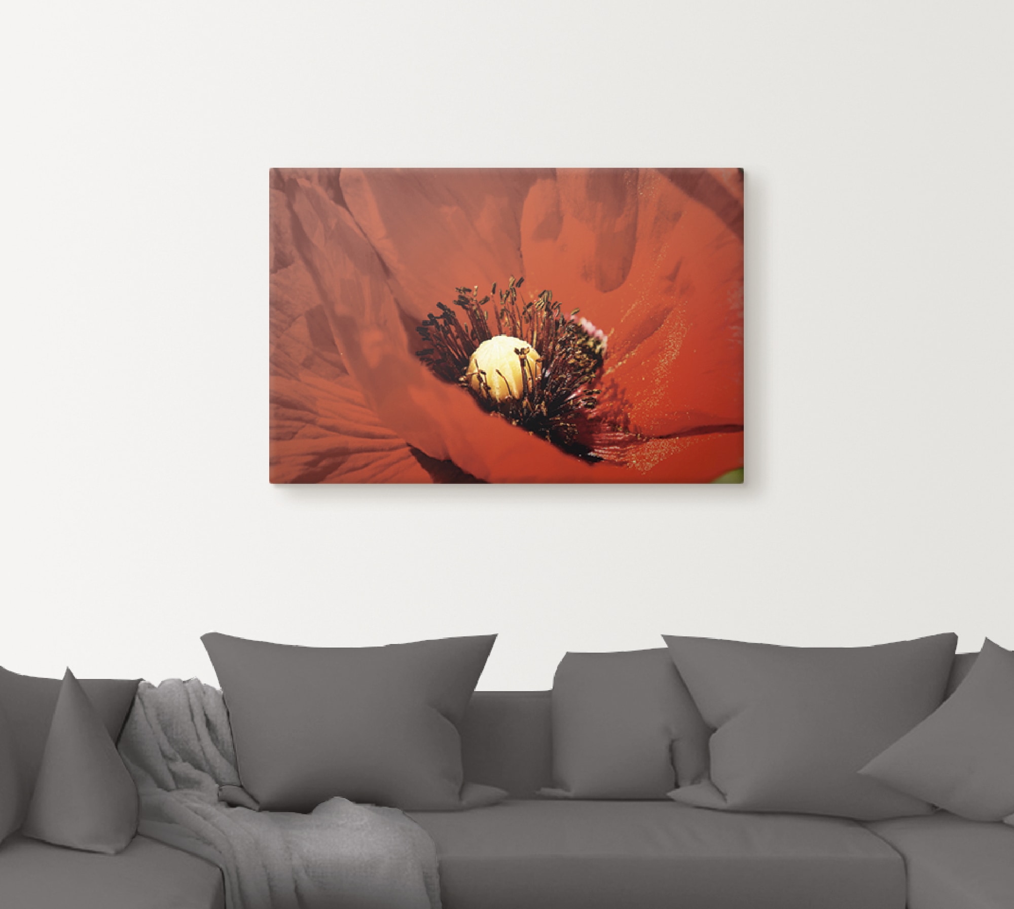 Artland Wandbild »Roter Mohn«, Blumen, (1 St.), als Alubild, Leinwandbild, Wandaufkleber oder Poster in versch. Grössen