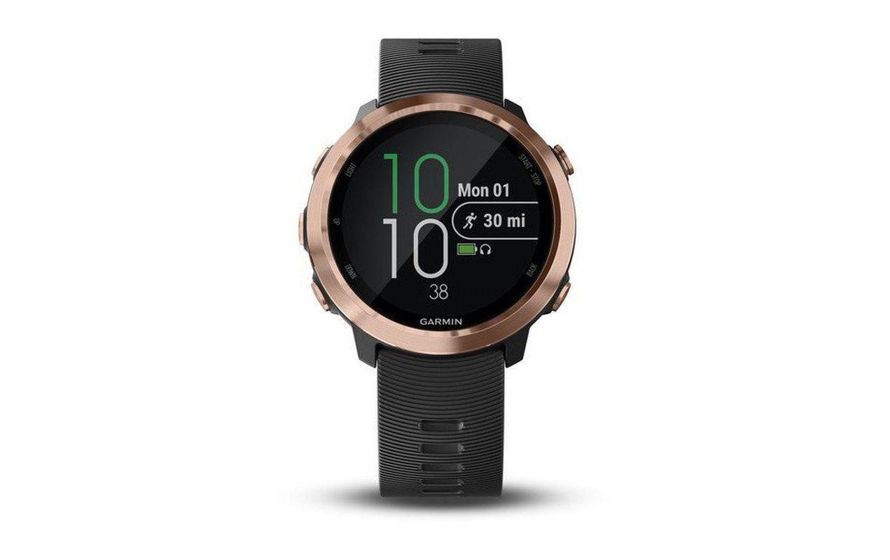 Garmin Smartwatch »Forerunner 645 Music Schwarz/Bronzefarben«
