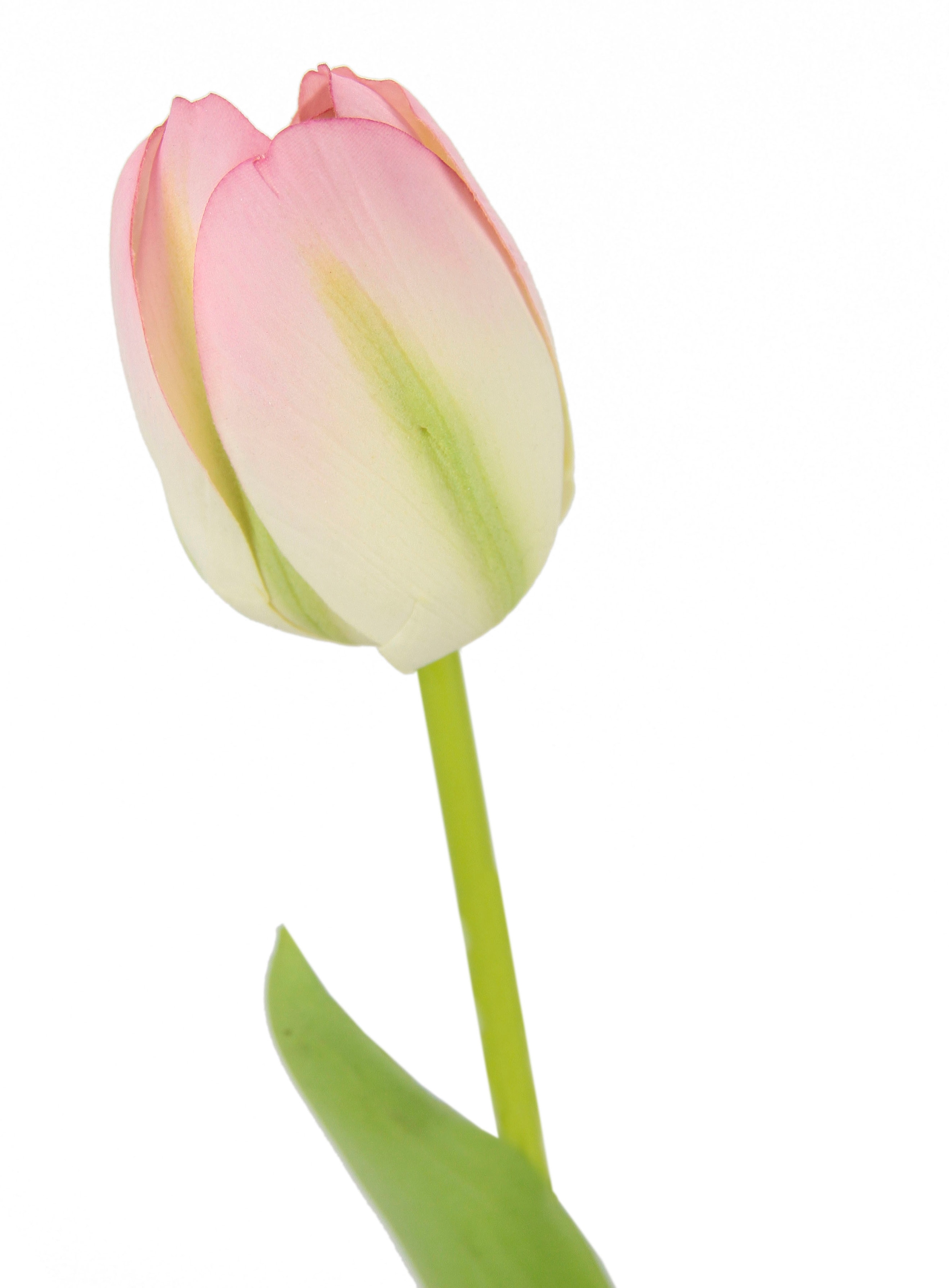 I.GE.A. Kunstblume »Real Touch Tulpen«, 5er Set künstliche Tulpenknospen,  Kunstblumen, Stielblume jetzt kaufen