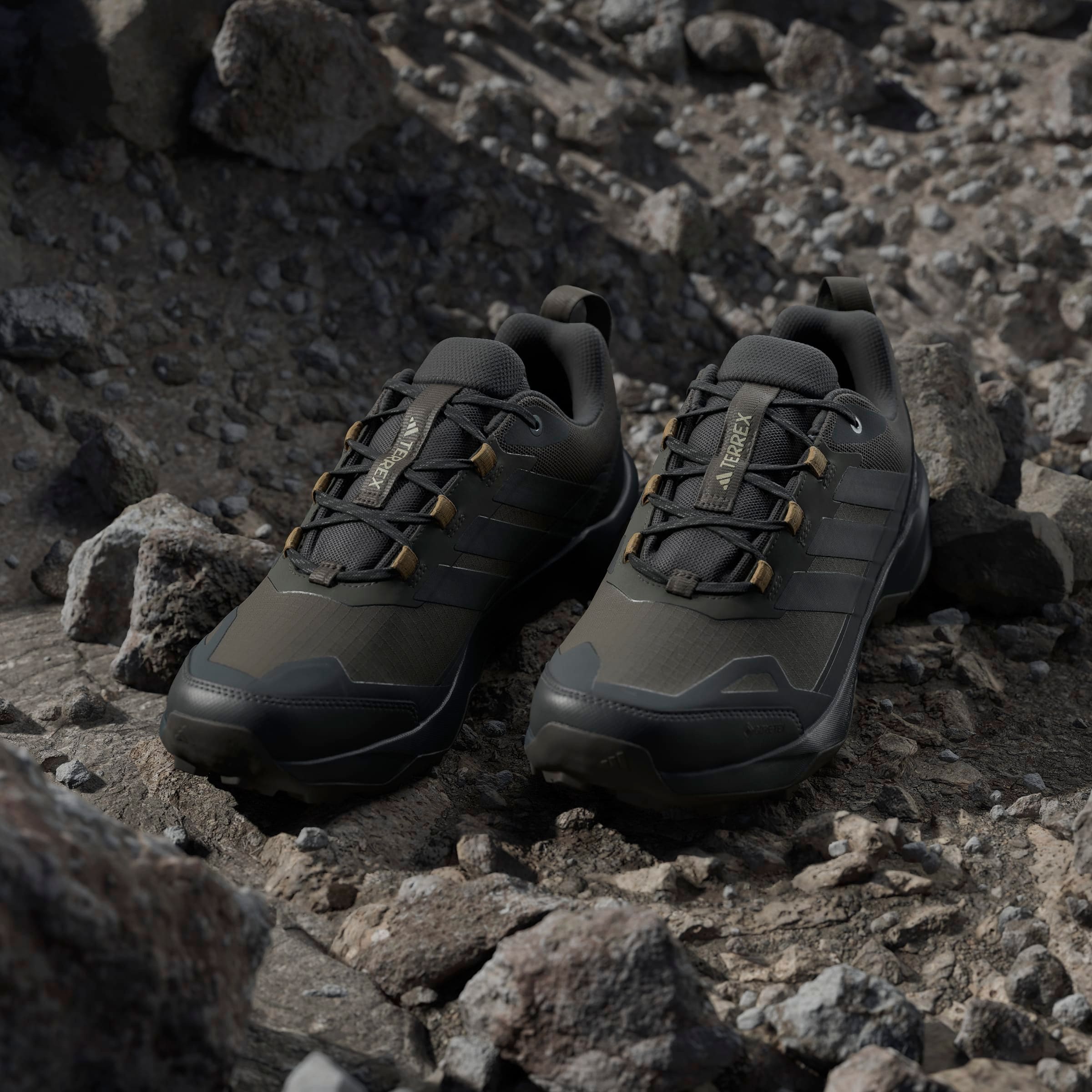 adidas TERREX Wanderschuh »TERREX SKYCHASER AX5 GORE-TEX E«, wasserdicht