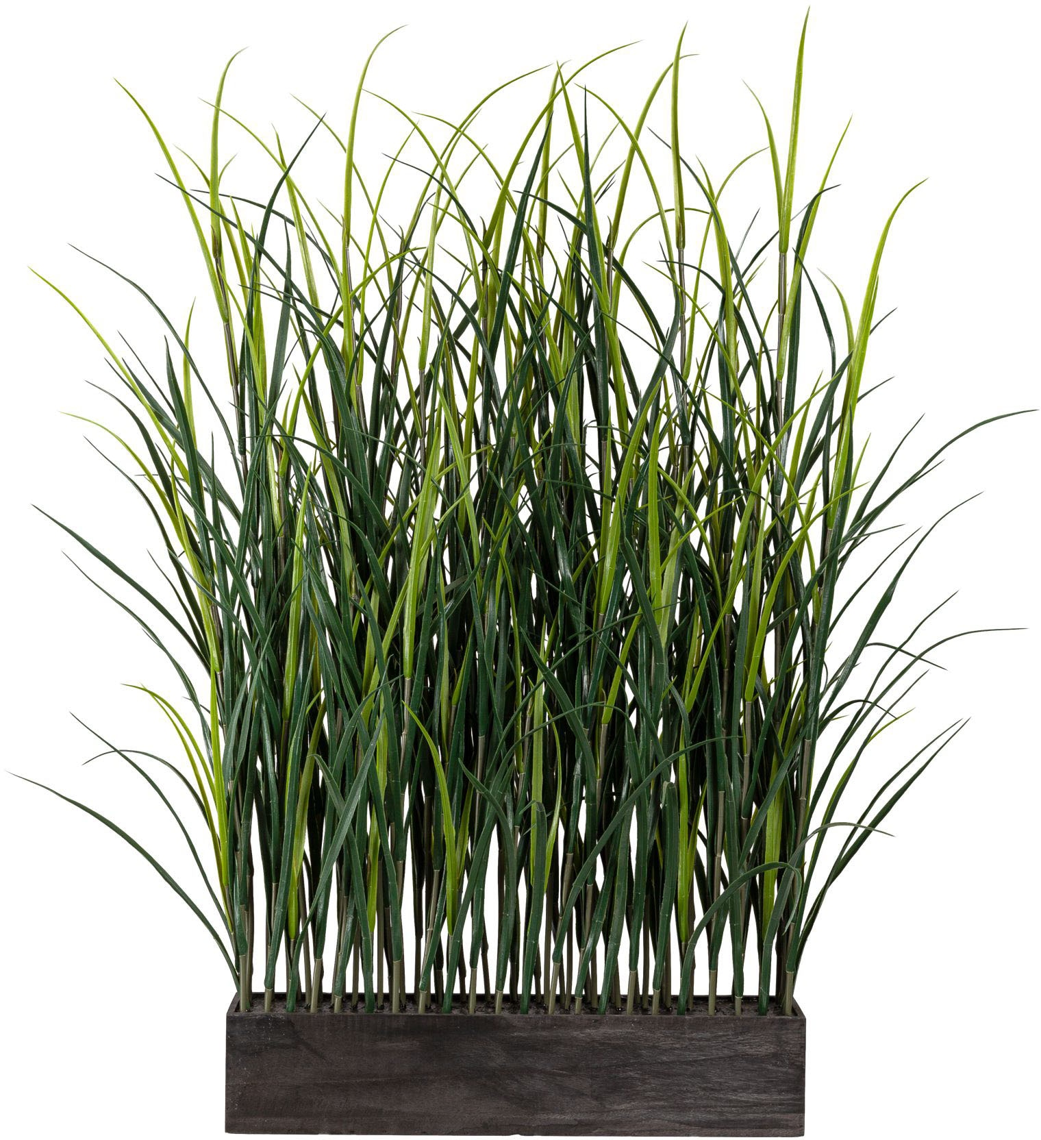 Creativ green Kunstpflanze »Kunststoffgras Raumteiler«, im Holzkasten