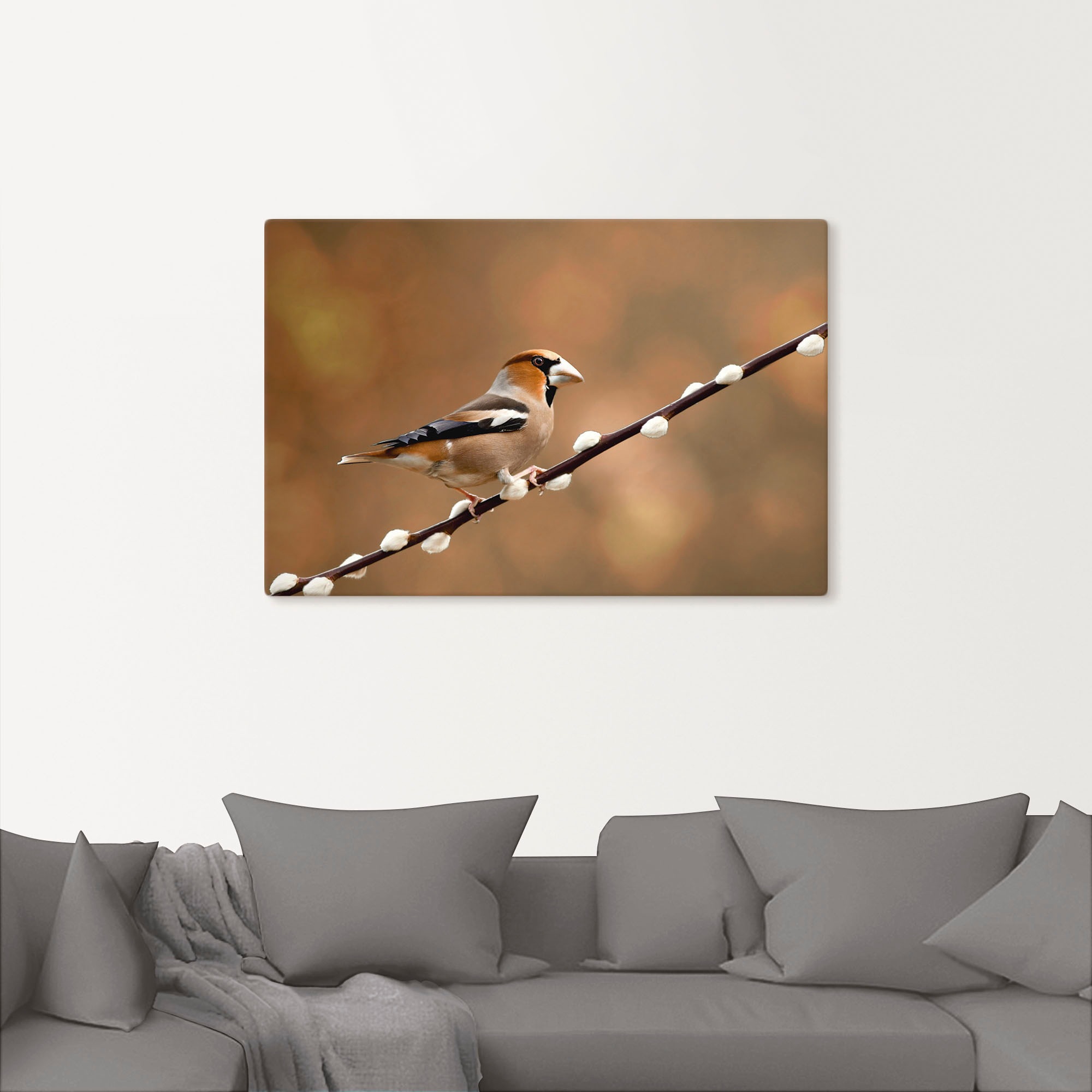 Artland Leinwandbild »Kernbeisser«, Vogelbilder, (1 St.), auf Keilrahmen gespannt