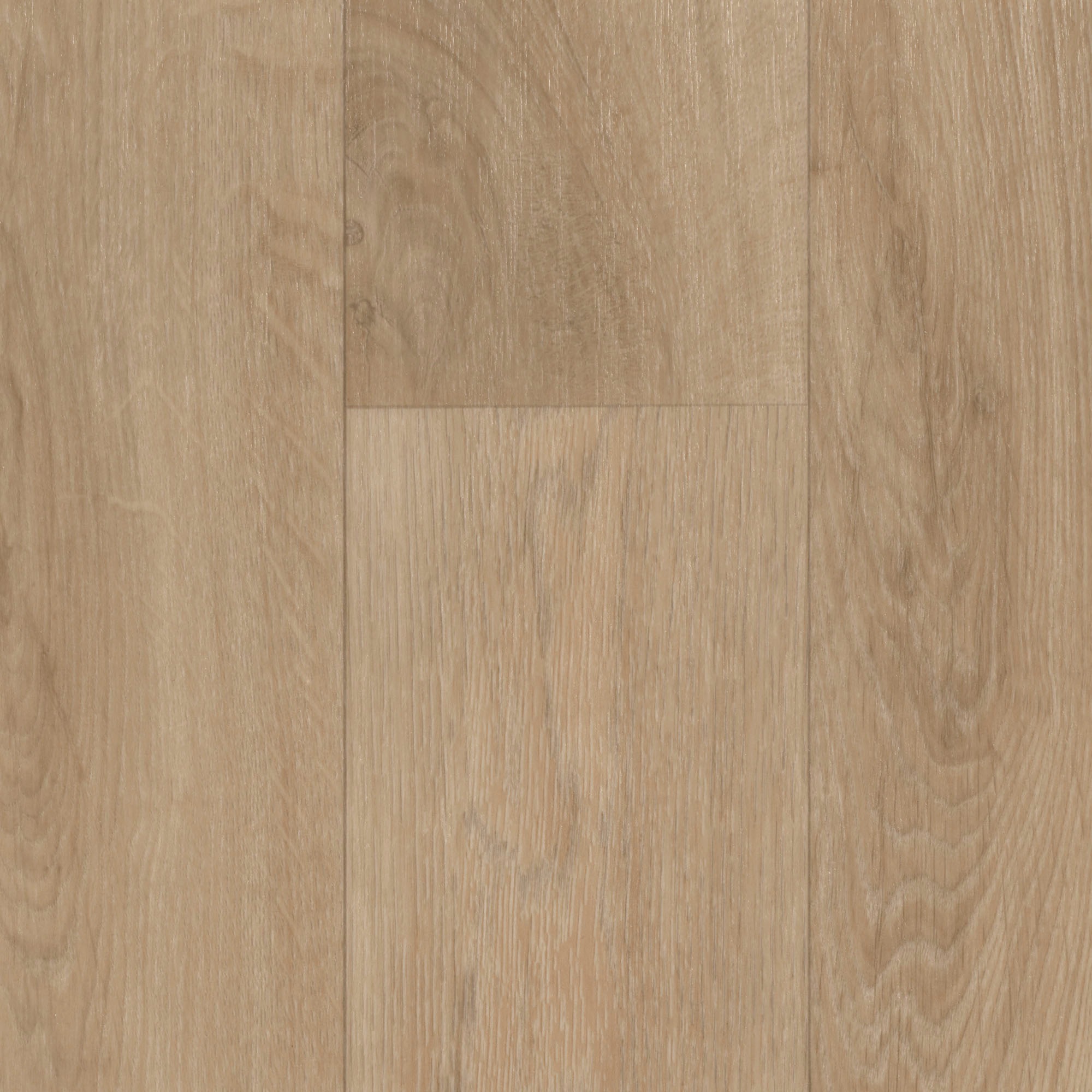 Image of Bodenmeister Vinylboden »PVC Bodenbelag Holzoptik Schiffsboden Eiche creme hell«, Meterware, Breite 200/300/400 cm bei Ackermann Versand Schweiz