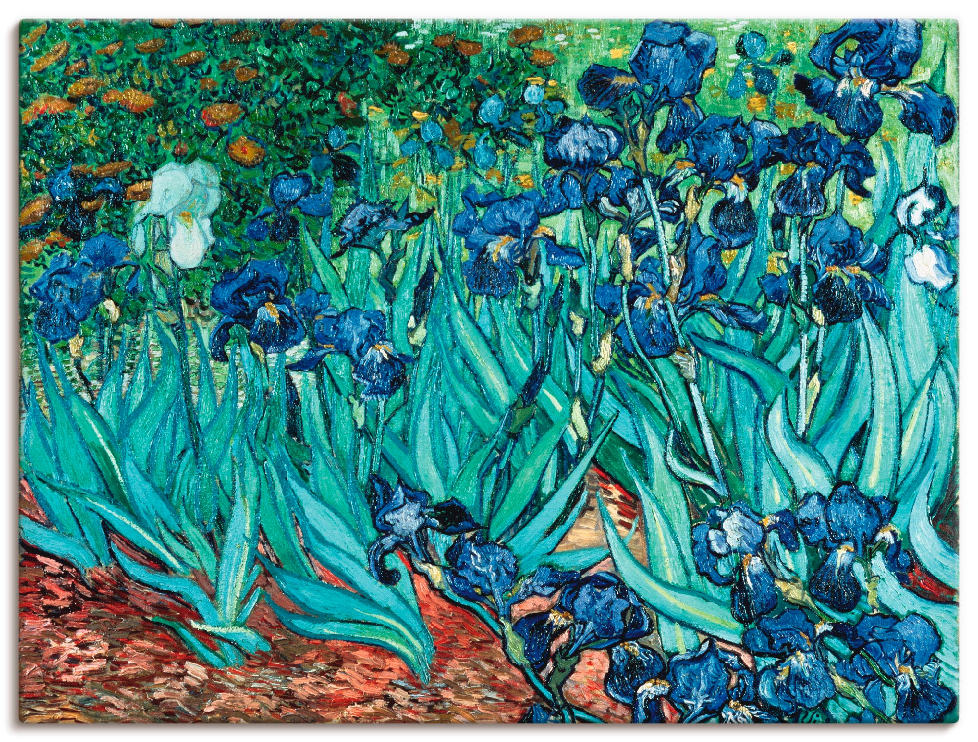 Image of Artland Leinwandbild "Iris (Schwertlilien). 1889" Blumen 1 Stk. tlg. auf Holzrahmen gespannt