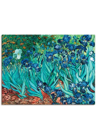 Leinwandbild »Iris (Schwertlilien). 1889«, Blumen, (1 St.)