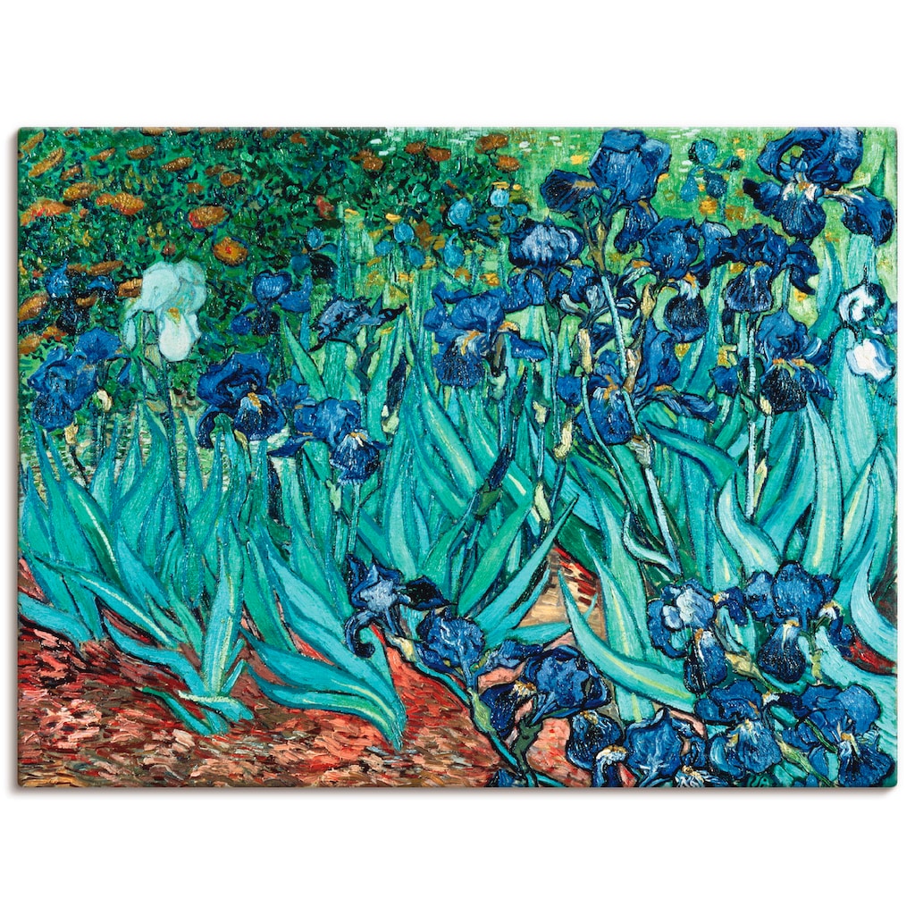 Artland Leinwandbild »Iris (Schwertlilien). 1889«, Blumen, (1 St.)