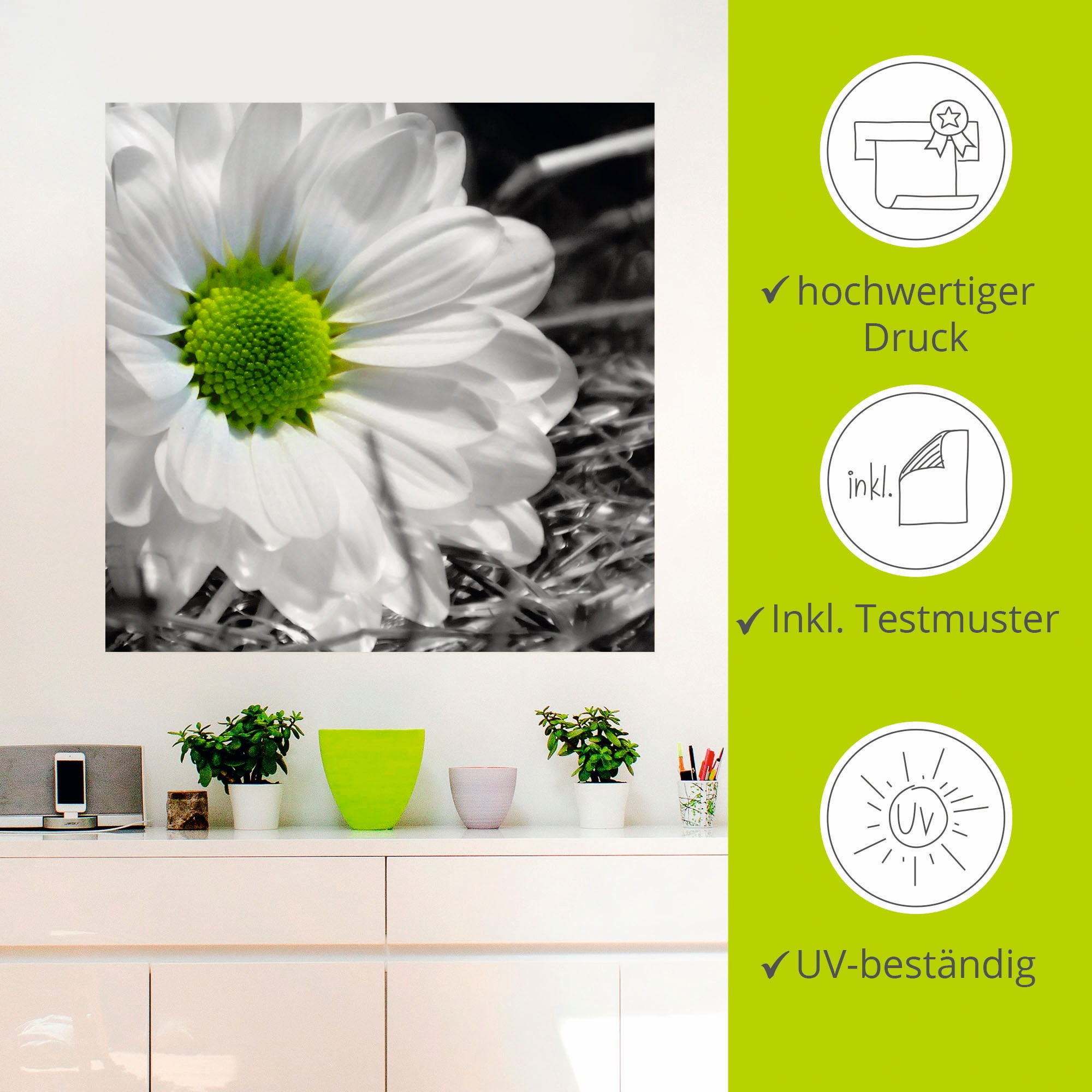 Artland Wandbild »Weisse Blume«, Blumen, (1 St.), als Leinwandbild, Wandaufkleber in verschied. Grössen