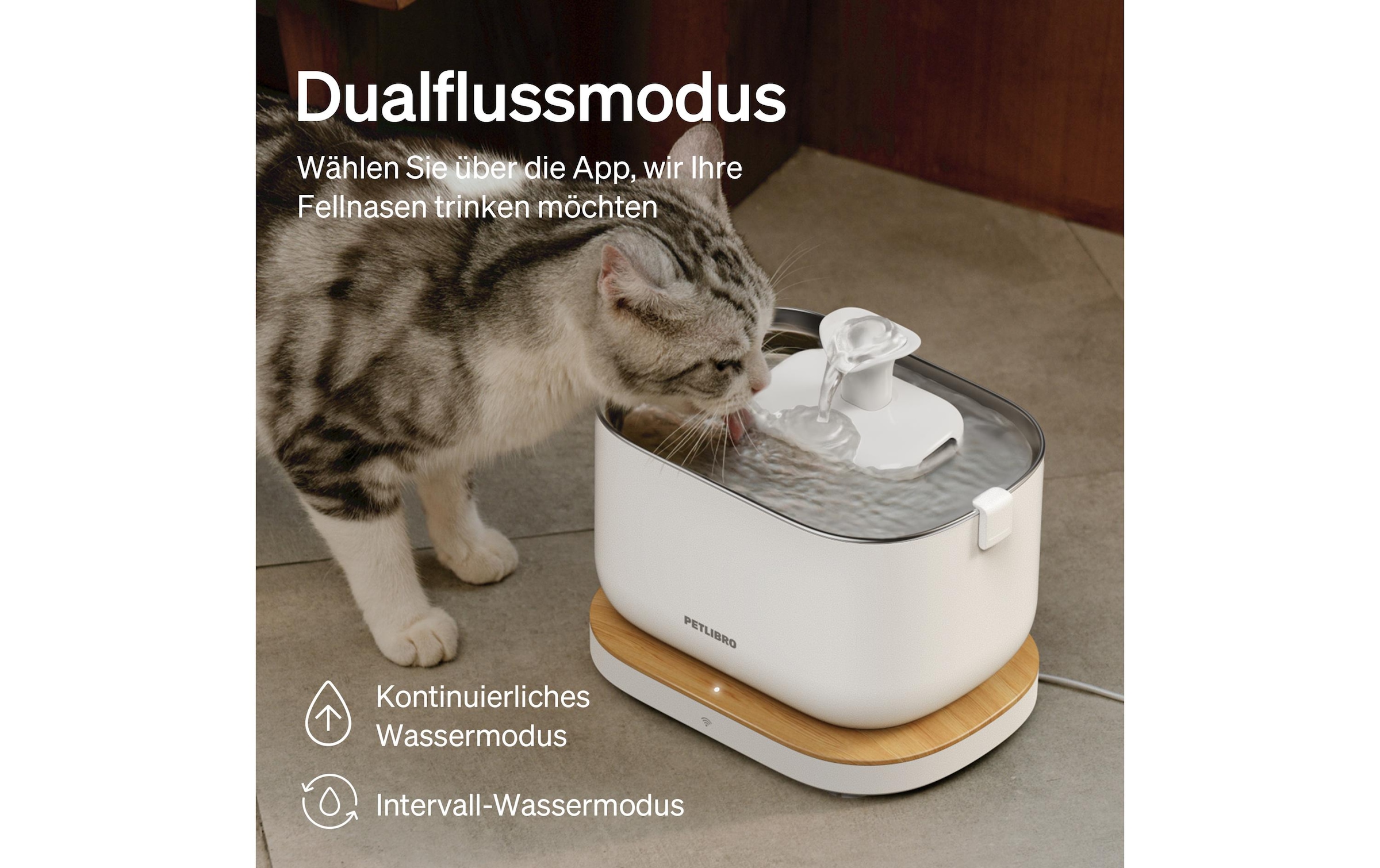 nicht definiert Trinkbrunnen »Petlibro Dockstream«