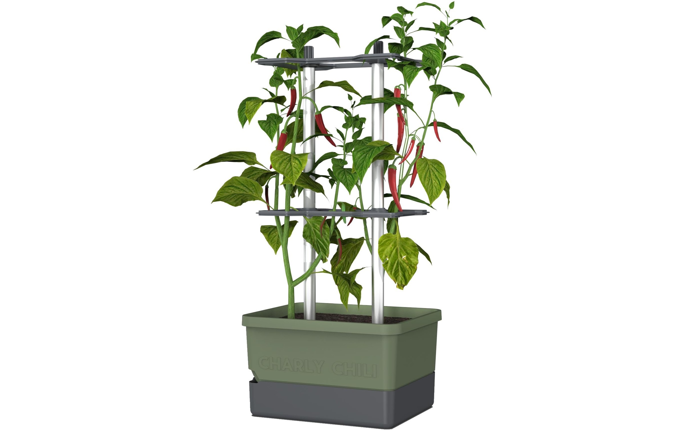 Image of Gusta Garden Pflanzkübel "CHARLY CH"
