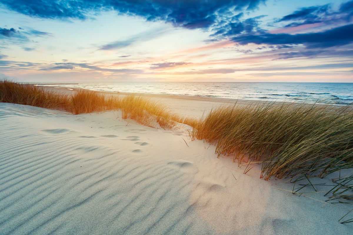 Image of Papermoon Fototapete »Grasdünen bei Sonnenuntergang«, samtig, Vliestapete, hochwertiger Digitaldruck bei Ackermann Versand Schweiz