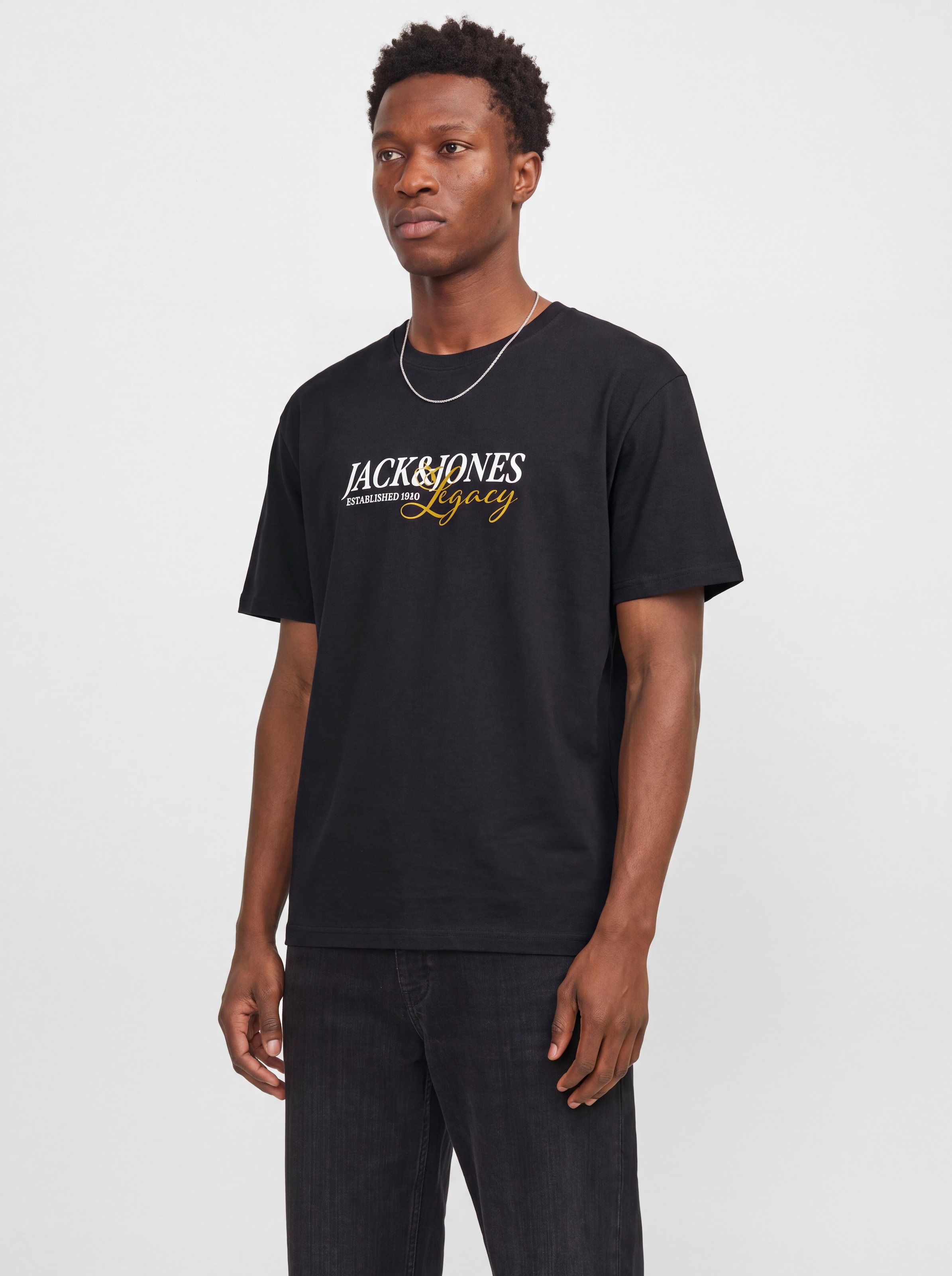 Image of Jack & Jones T-Shirt "JJJADE TEE SS CREW NECK BF" Baumwolle, locker geschnitten