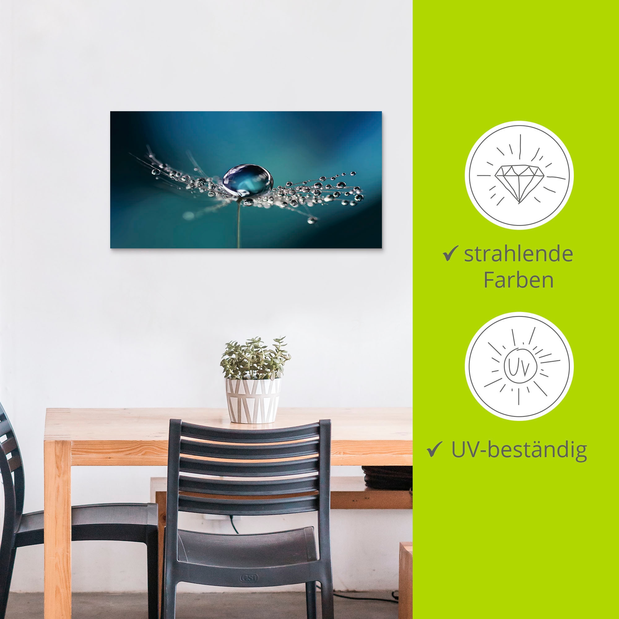 Artland Wandbild »Pusteblume Tautropfen blau«, Blumenbilder, (1 St.), als Alubild, Outdoorbild, Leinwandbild in verschied. Grössen