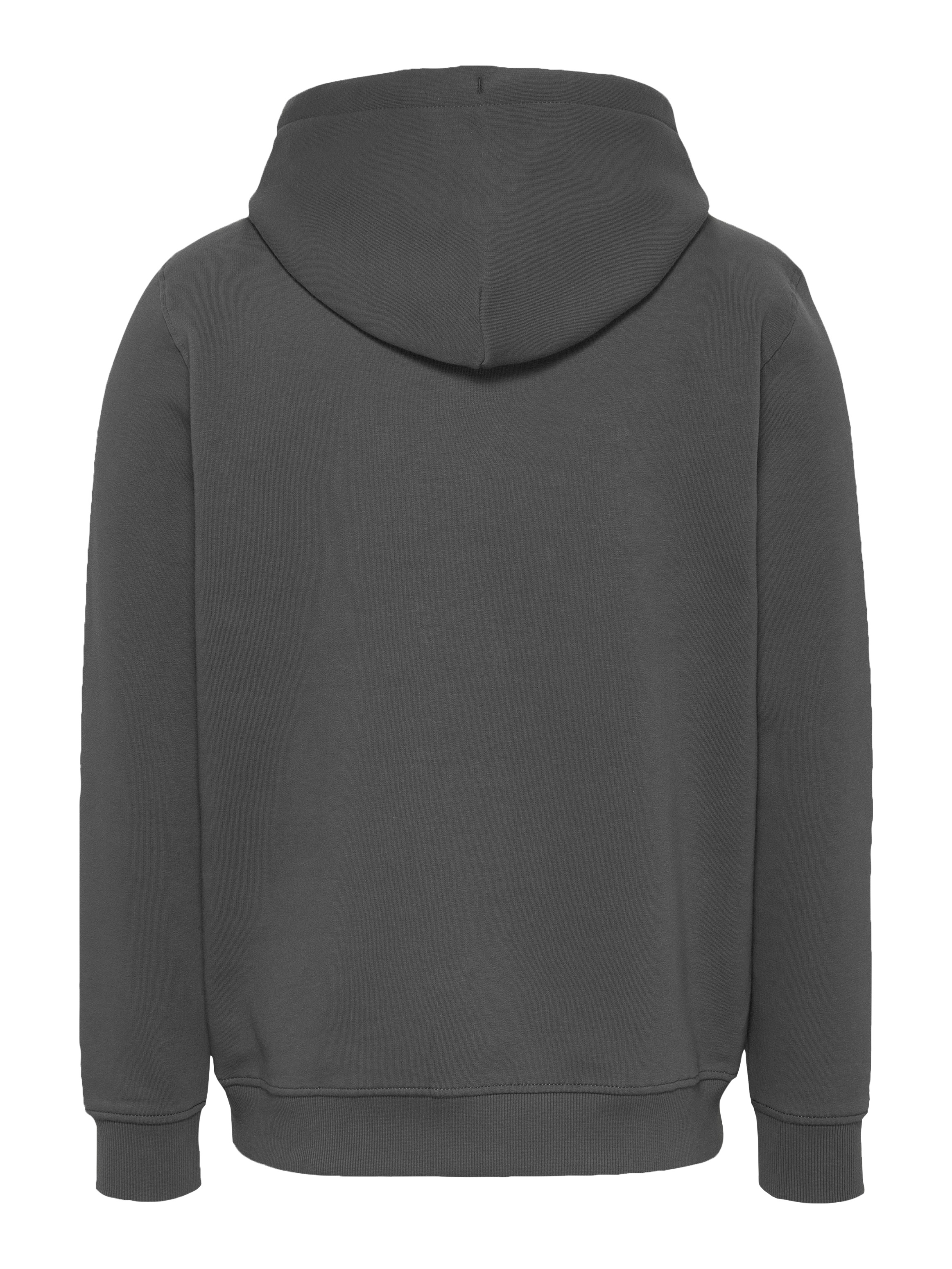 Tommy Jeans Plus Hoodie »TJM REG LINEAR LOGO HOODIE EXT«, in Grosse Grössen, Logodruck