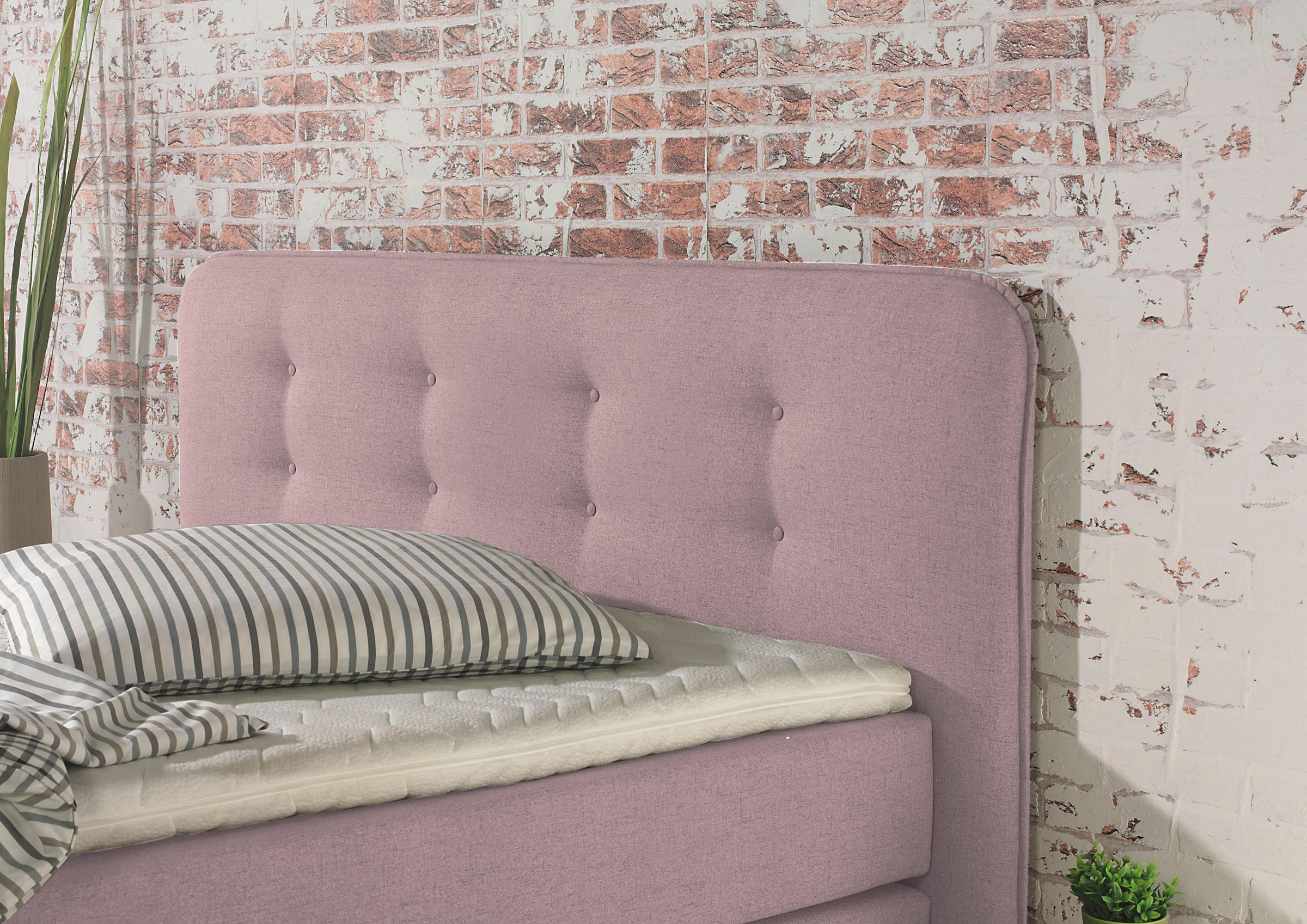 Home affaire Lit boxspring »Cecina« en 5 largeurs, 3 versions, 2 degrés de fermeté, capitonnage à boutons, surmatelas