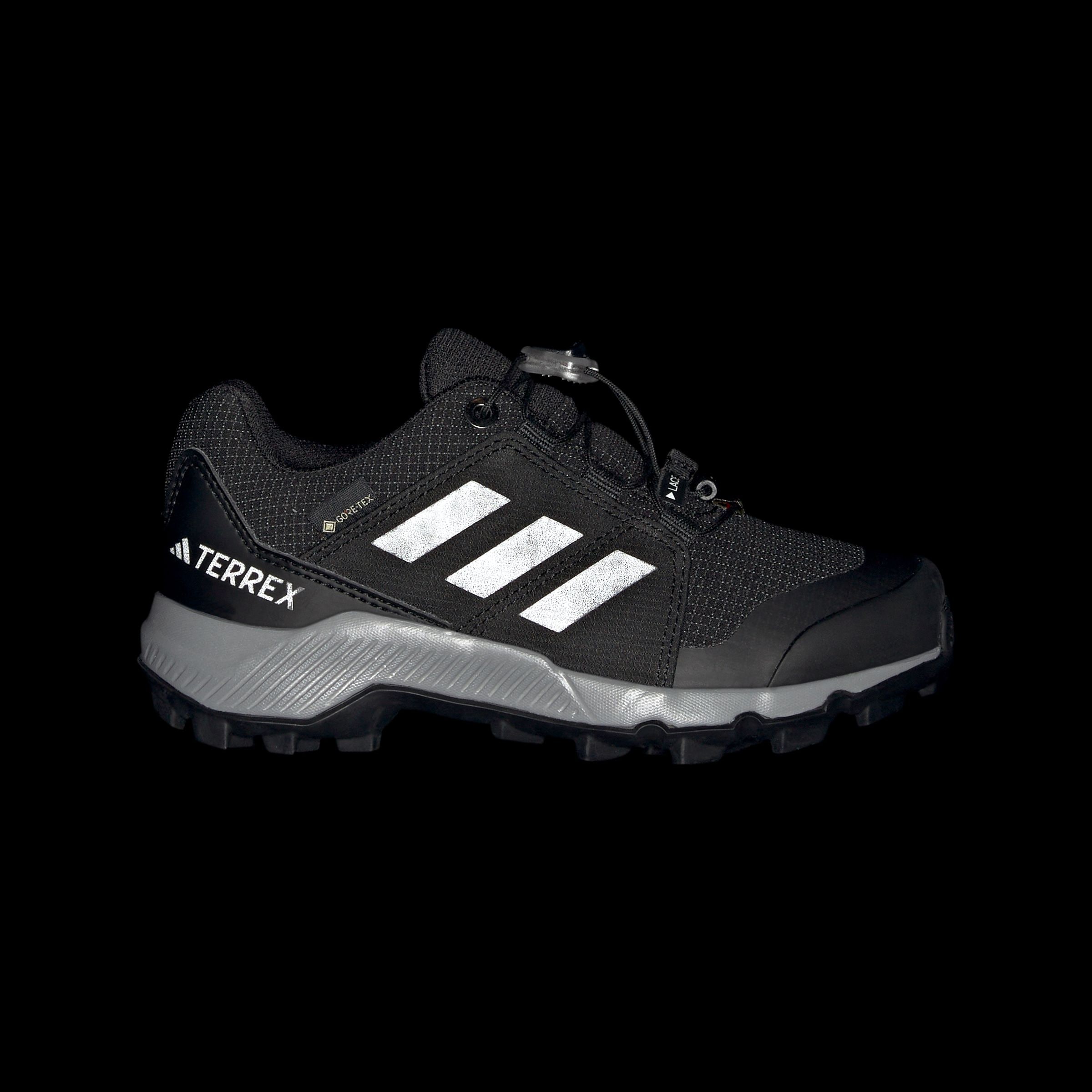 adidas TERREX Wanderschuh »TERREX GORE-TEX«, wasserdicht