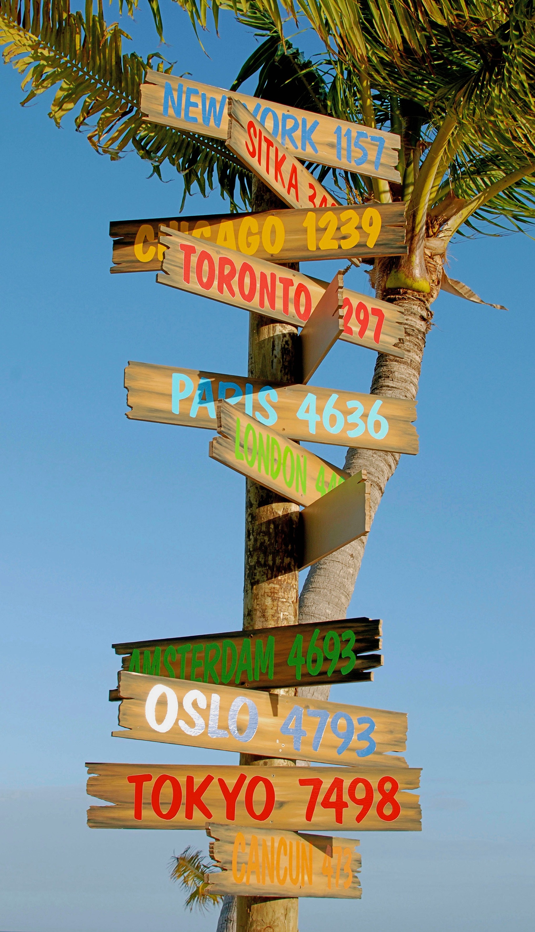 Image of good morning Strandtuch »Citysigns«, (1 St.), mit Schriftzügen bei Ackermann Versand Schweiz