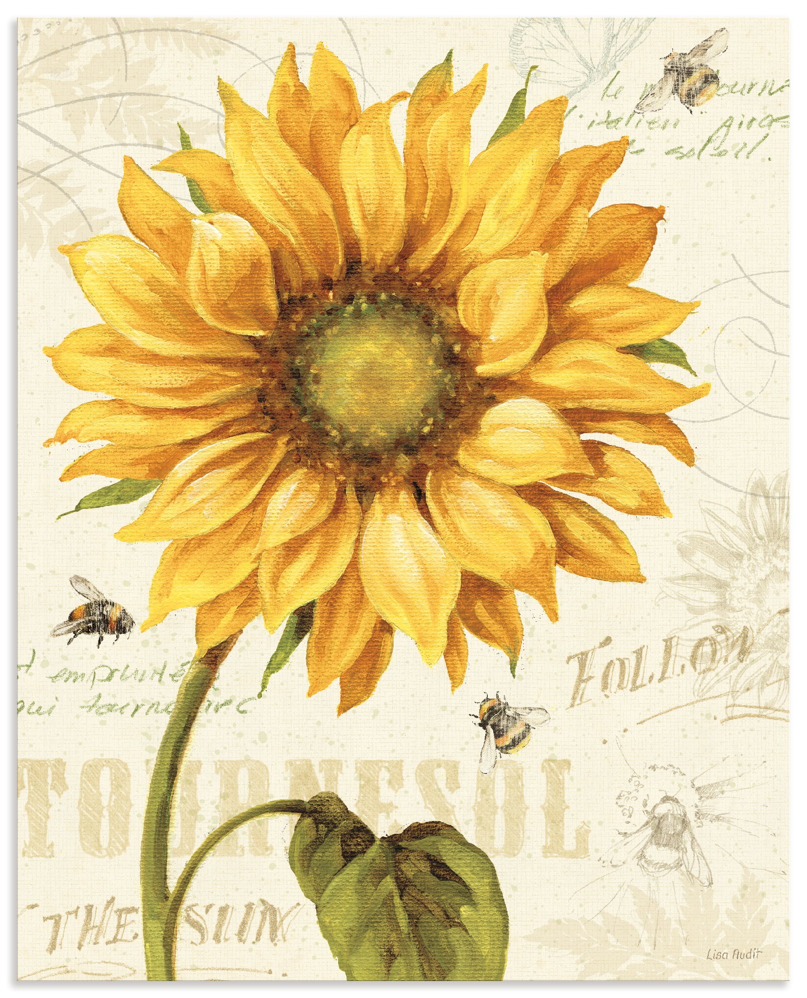 Image of Artland Wandbild "Under the Sun I" Blumenbilder 1 Stk. tlg. als Alubild, Leinwandbild, Poster, Wandaufkleber in verschied. Grössen