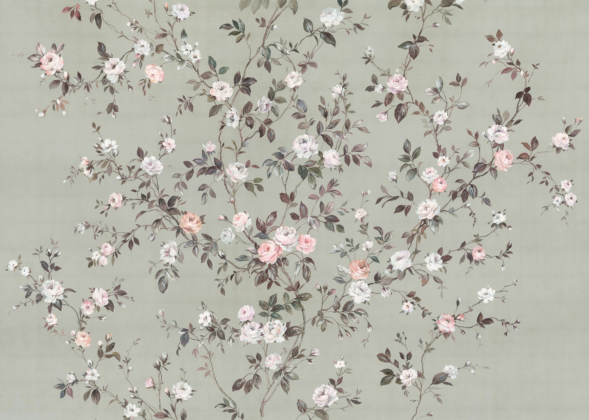 Image of Komar Fototapete »Rosellia«, botanisch-tropisch-Motiv, BxL: 350x250 cm, 150 g/m², Bahnbreite 50 cm, ausgezeichnet lichtbeständig bei Ackermann Versand Schweiz