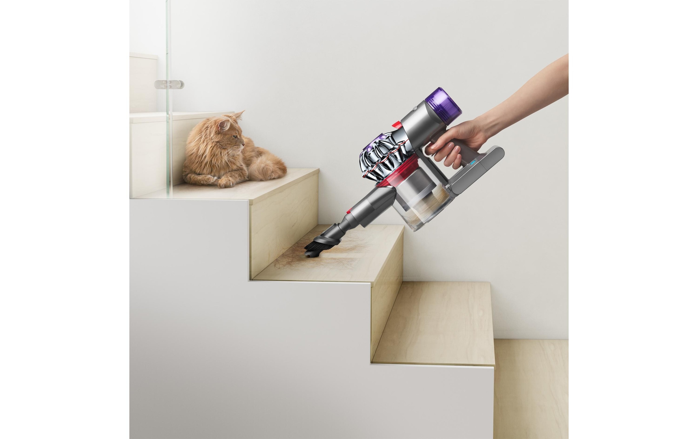 DYSON Akku-Hand-und Stielstaubsauger »V8 Advanced«