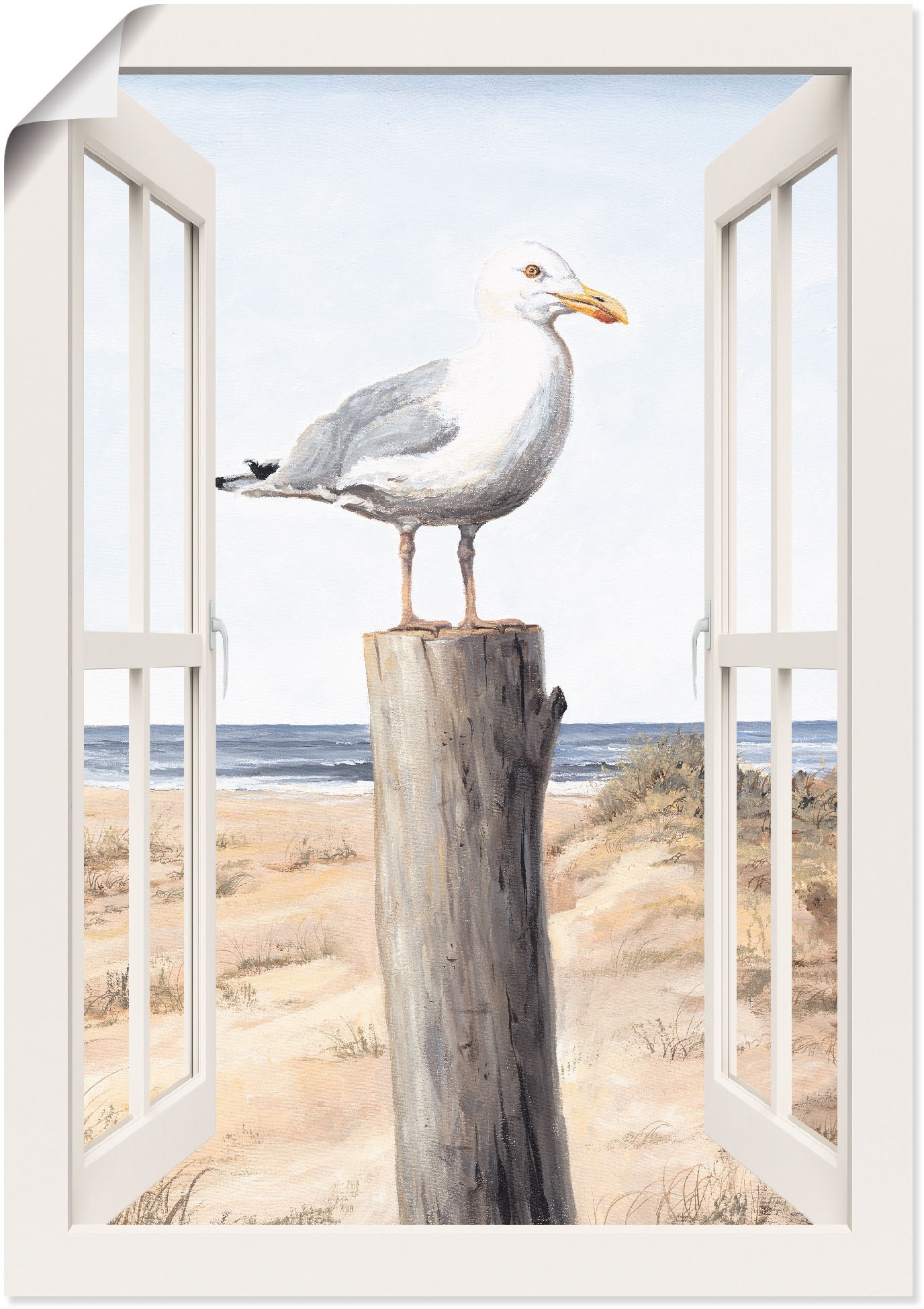 Artland Wandbild »Möwe Fensterblick«, Vogelbilder, (1 St.), als Alubild,  Leinwandbild, Wandaufkleber oder Poster in versch. Grössen bequem kaufen