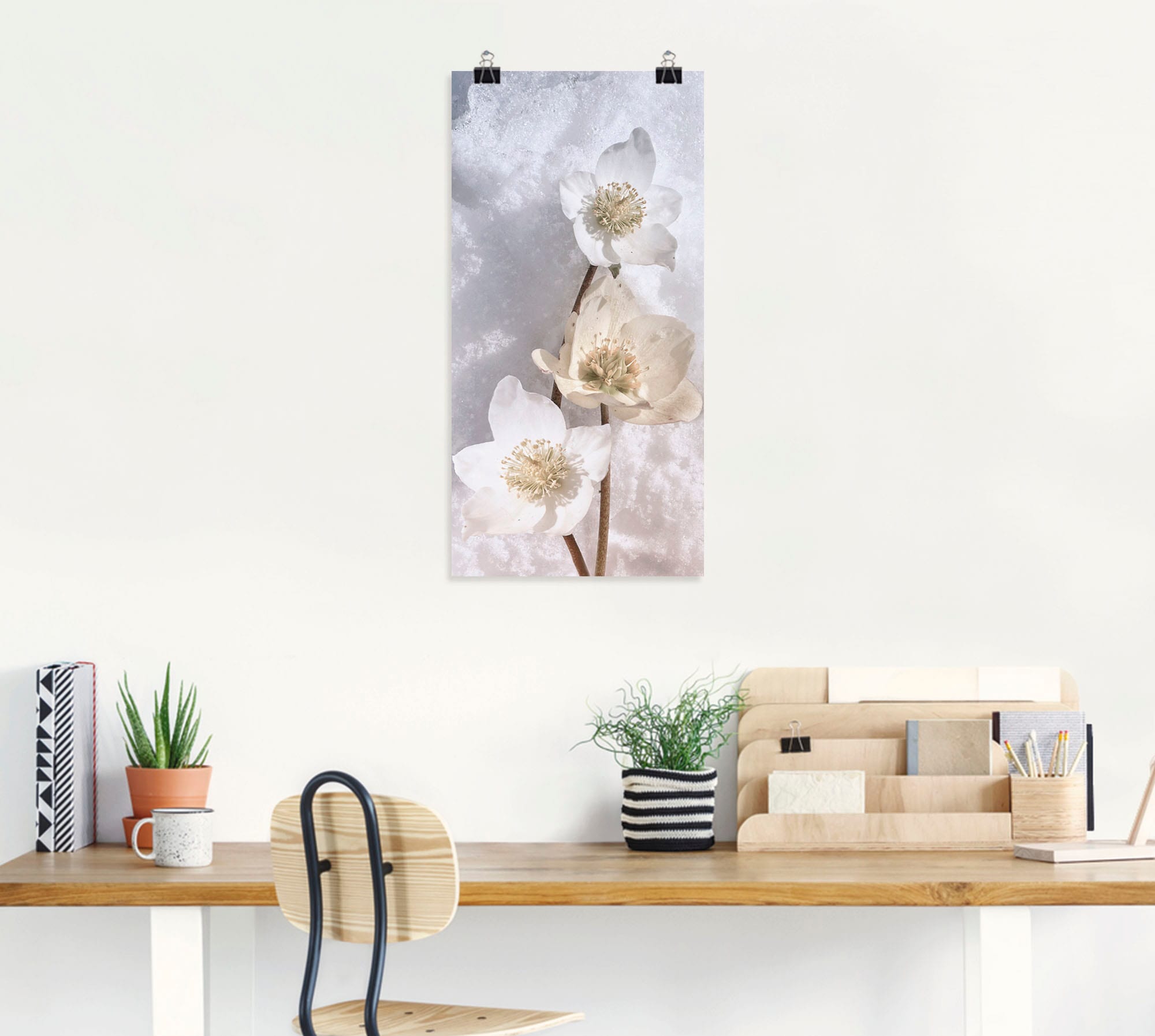 Artland Wandbild »Christrose im Schnee«, Blumen, (1 St.), als Leinwandbild, Poster in verschied. Grössen