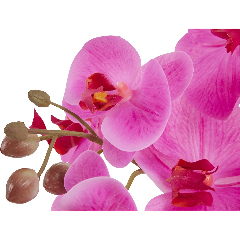 Leonique Kunstpflanze »Orchidee«