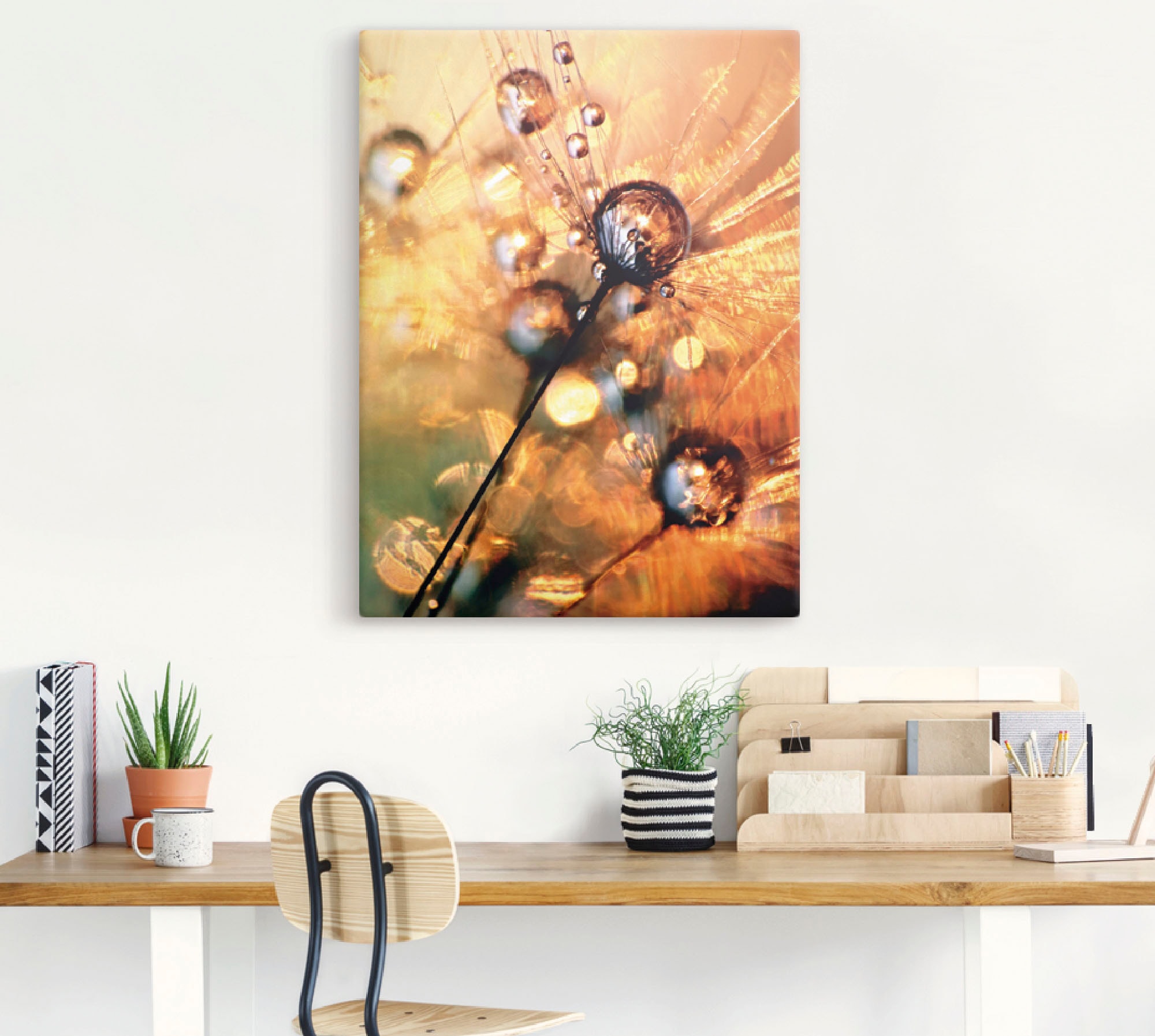 Artland Wandbild »Pusteblume oder St.), (1 Energy«, Wandaufkleber als Leinwandbild, Grössen Alubild, in kaufen versch. Poster Blumen, günstig