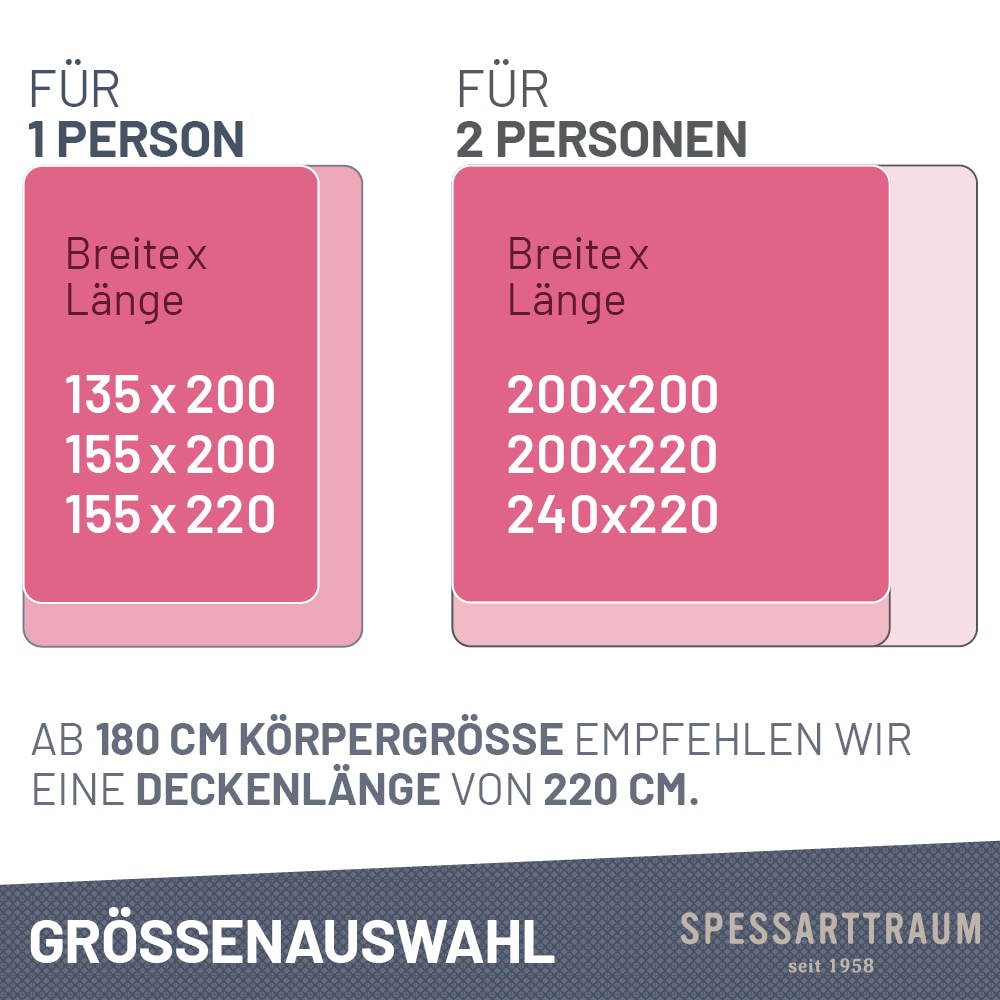SPESSARTTRAUM Gänsedaunenbettdecke + Kopfkissen »Premium******« Sparset: 4 Wärmeklassen, 135x200 cm & 155x220 cm
