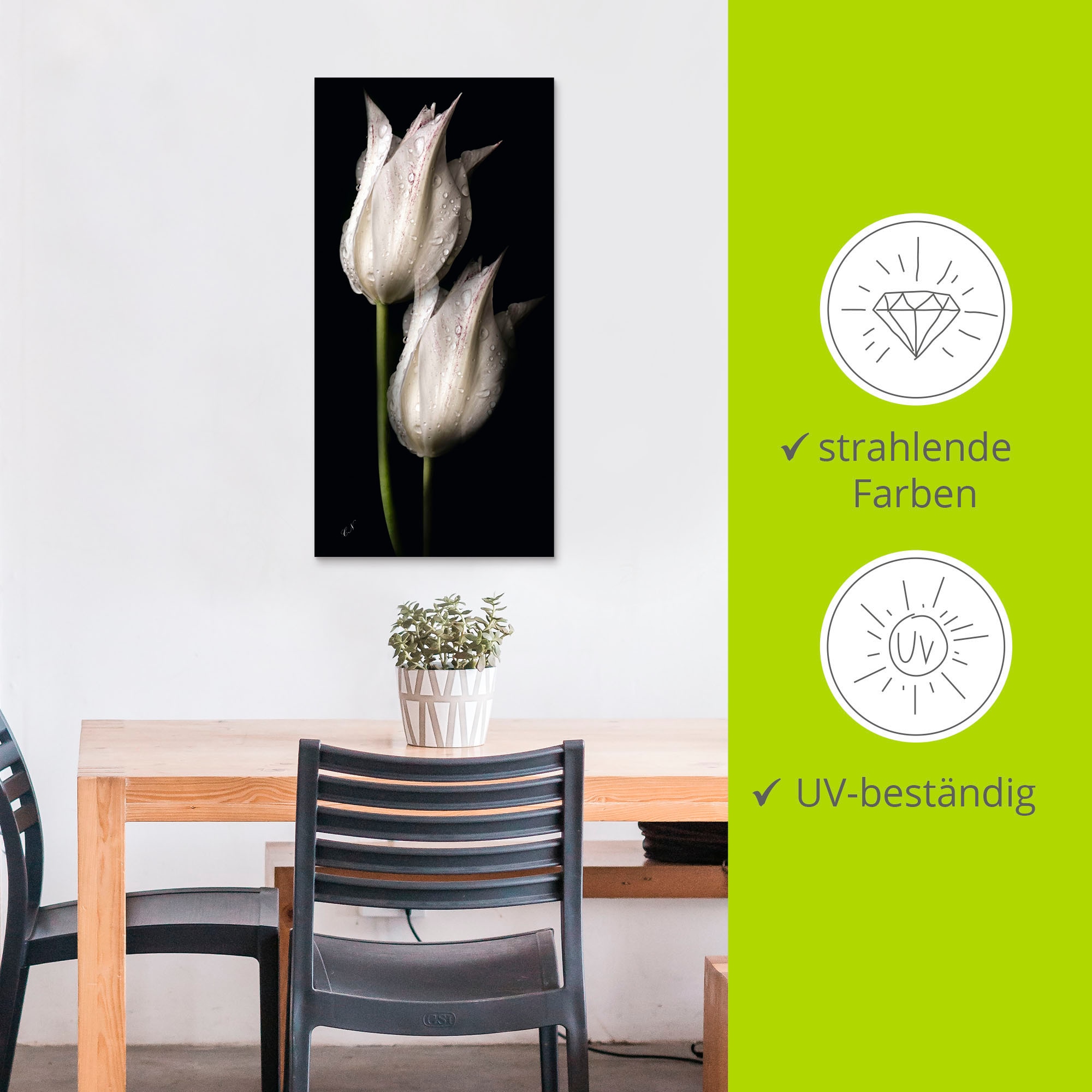 Artland Wandbild »Weisse Tulpen in der Nacht«, Blumenbilder, (1 St.), als Alubild, Outdoorbild, Leinwandbild, Poster, Wandaufkleber