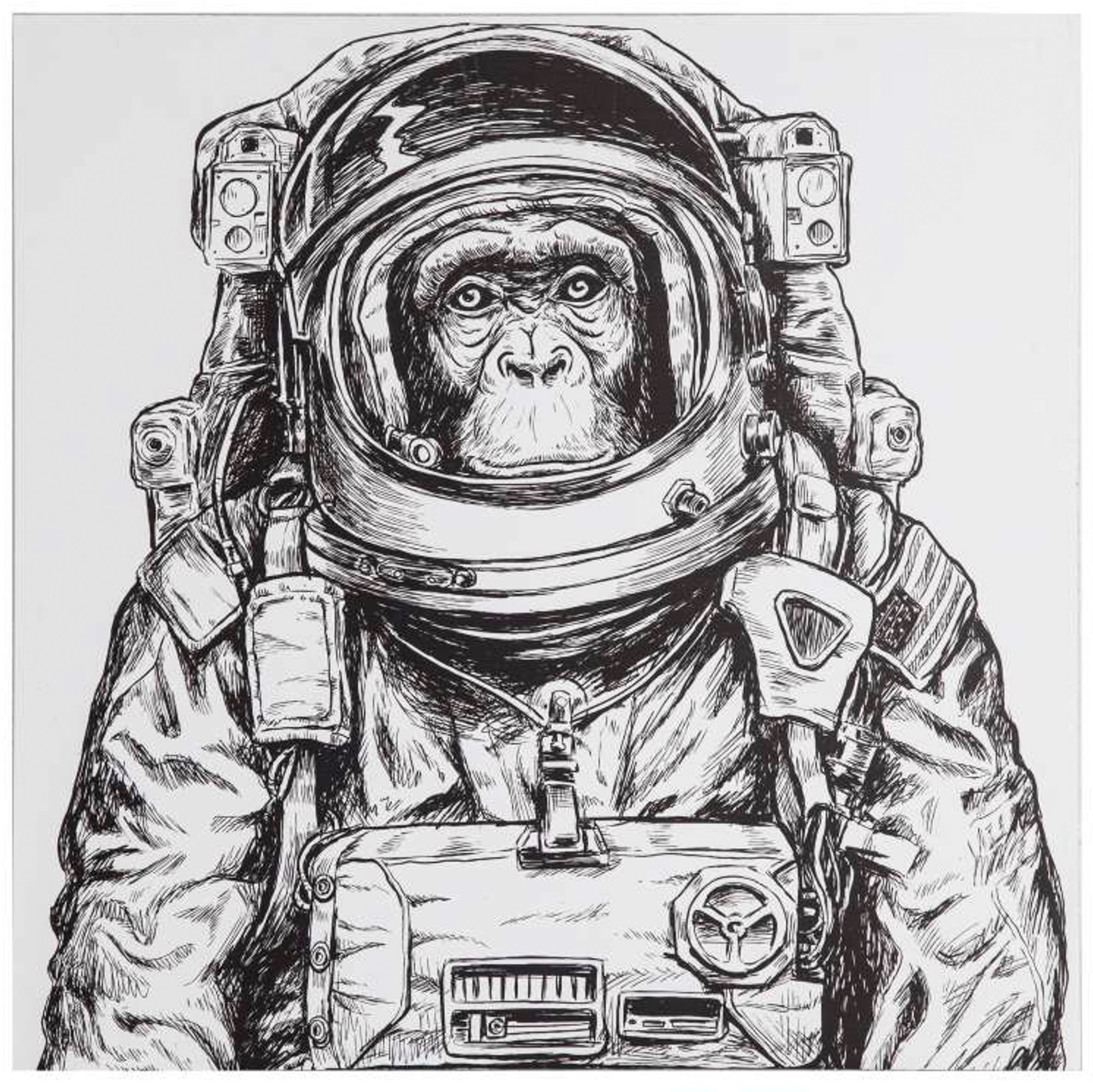 Image of Spiegelprofi GmbH Deco-Panel »Space Ape«, (1 St.), hochwertiger Kunstdruck bei Ackermann Versand Schweiz