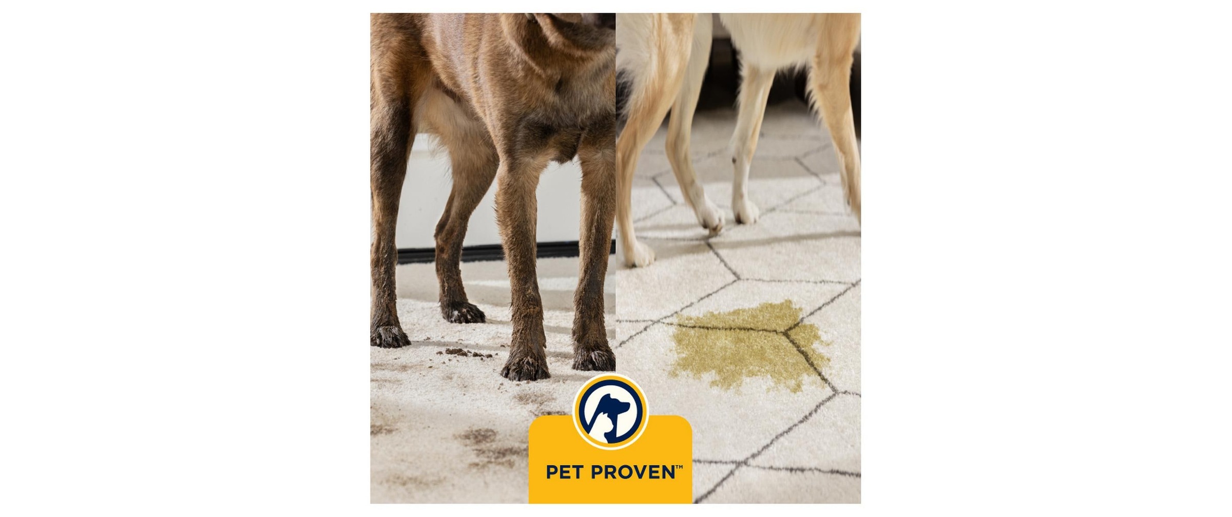 Bissell Appareil de nettoyage de tapis »PowerWash Hydrosteam«