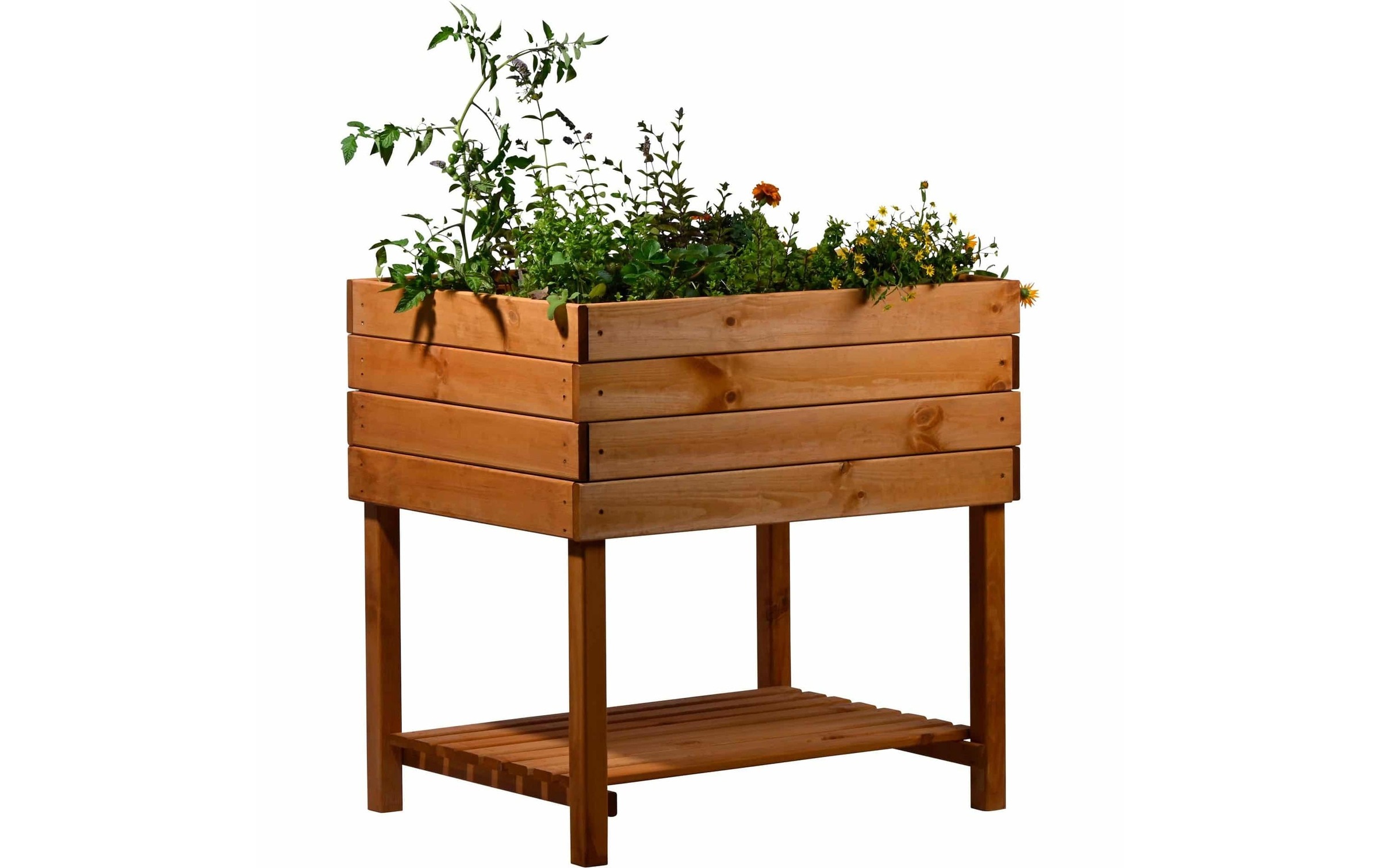 Image of dobar Hochbeet "Kubus 2.0"