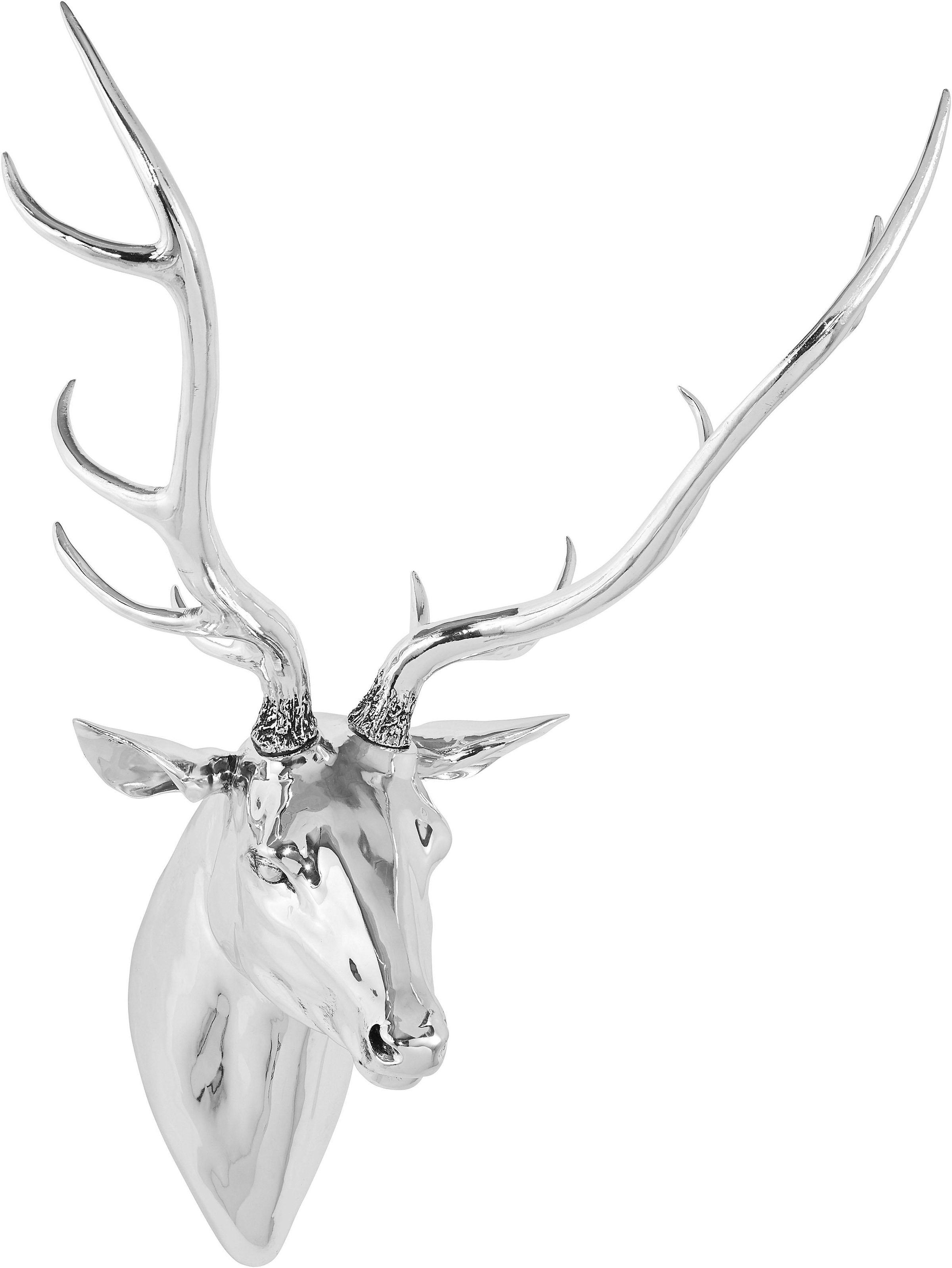 Image of pajoma Dekogeweih bei Ackermann Versand Schweiz