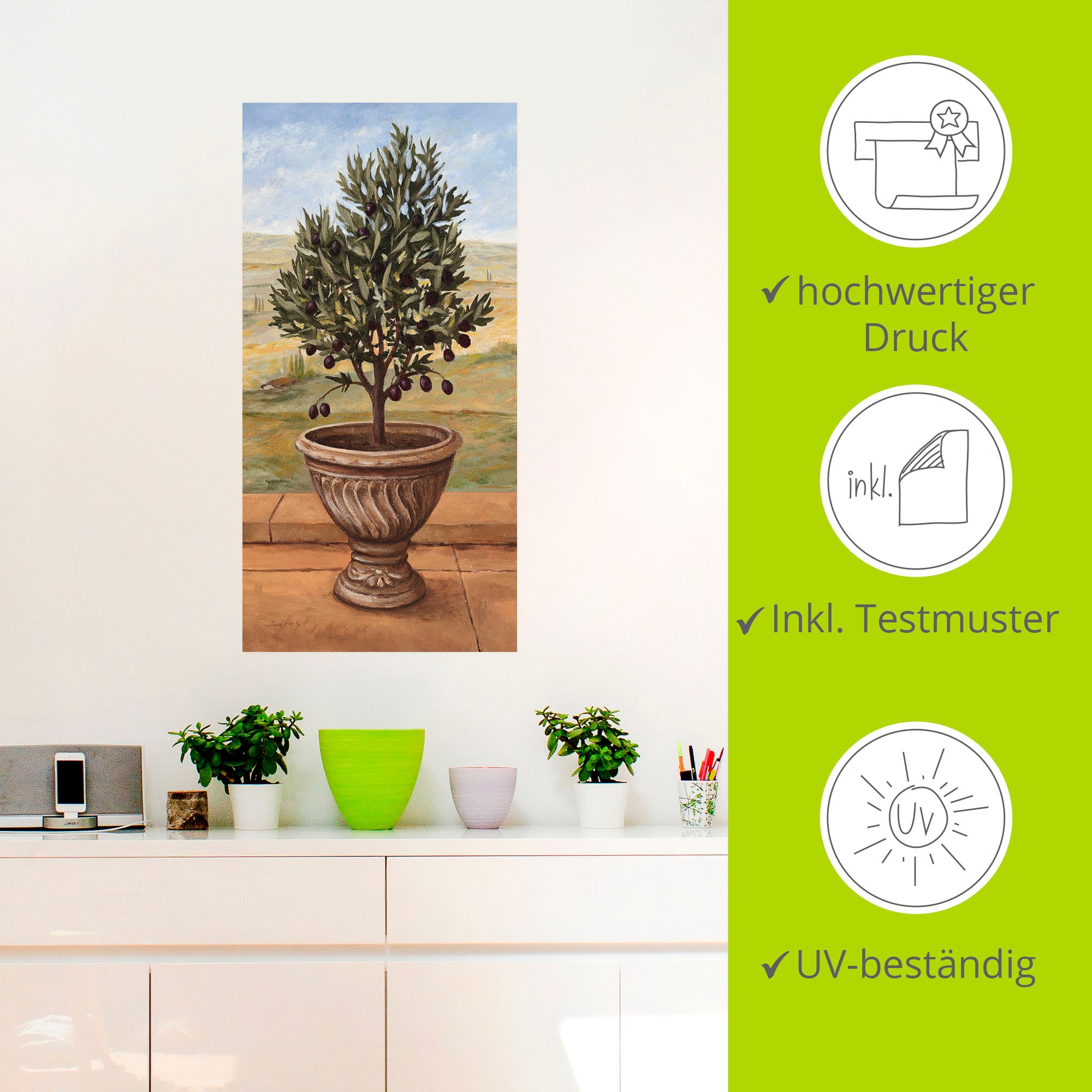Artland Wandbild »Olivenbaum«, Pflanzen, (1 St.), als Alubild, Outdoorbild, Leinwandbild, Wandaufkleber, versch. Grössen