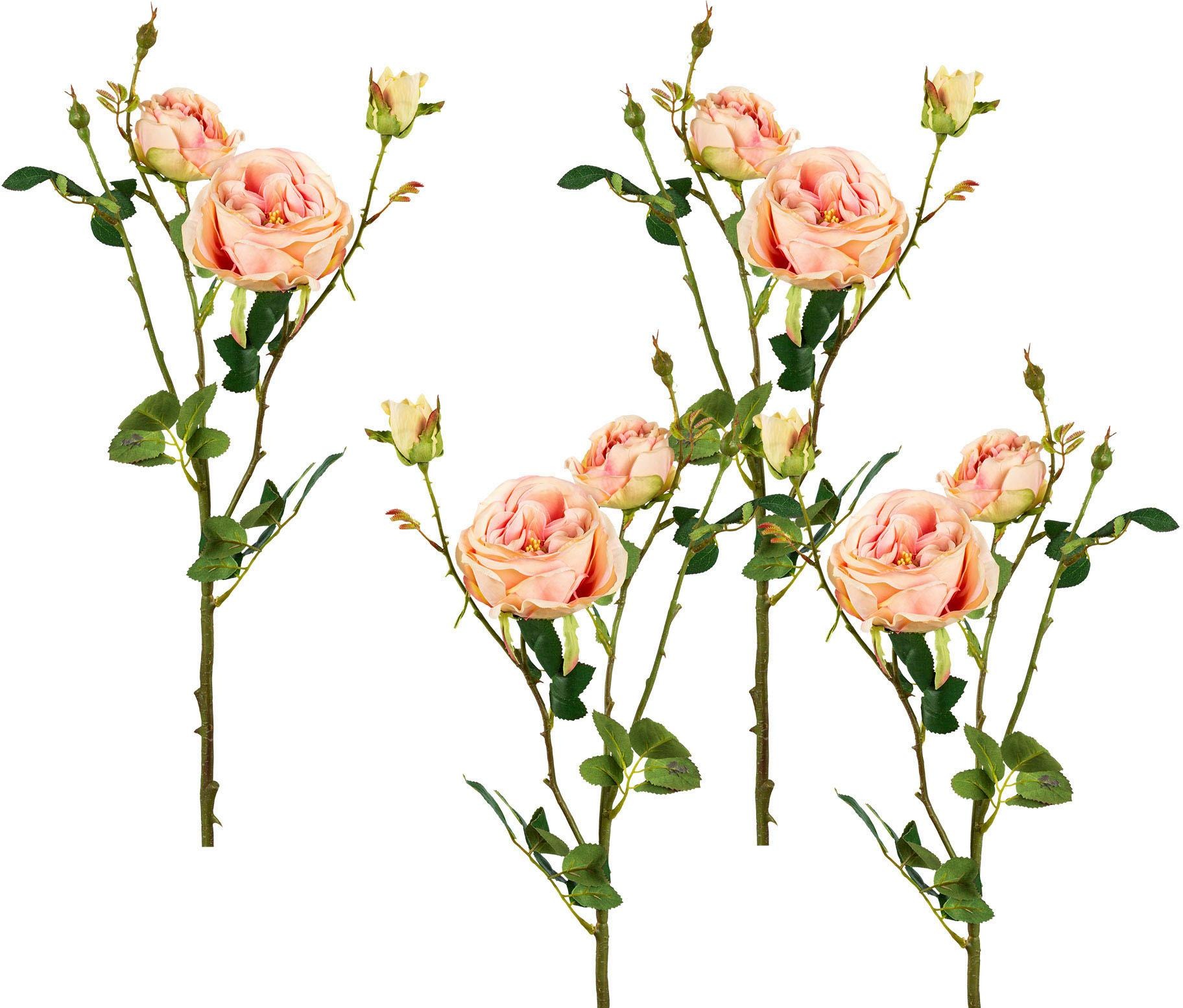 Set günstig Rosen, Kunstrose kaufen künstliche Seidenrosen, Bouquet, Kunstzweig, I.GE.A. »Rose«, Kunstblume 5er