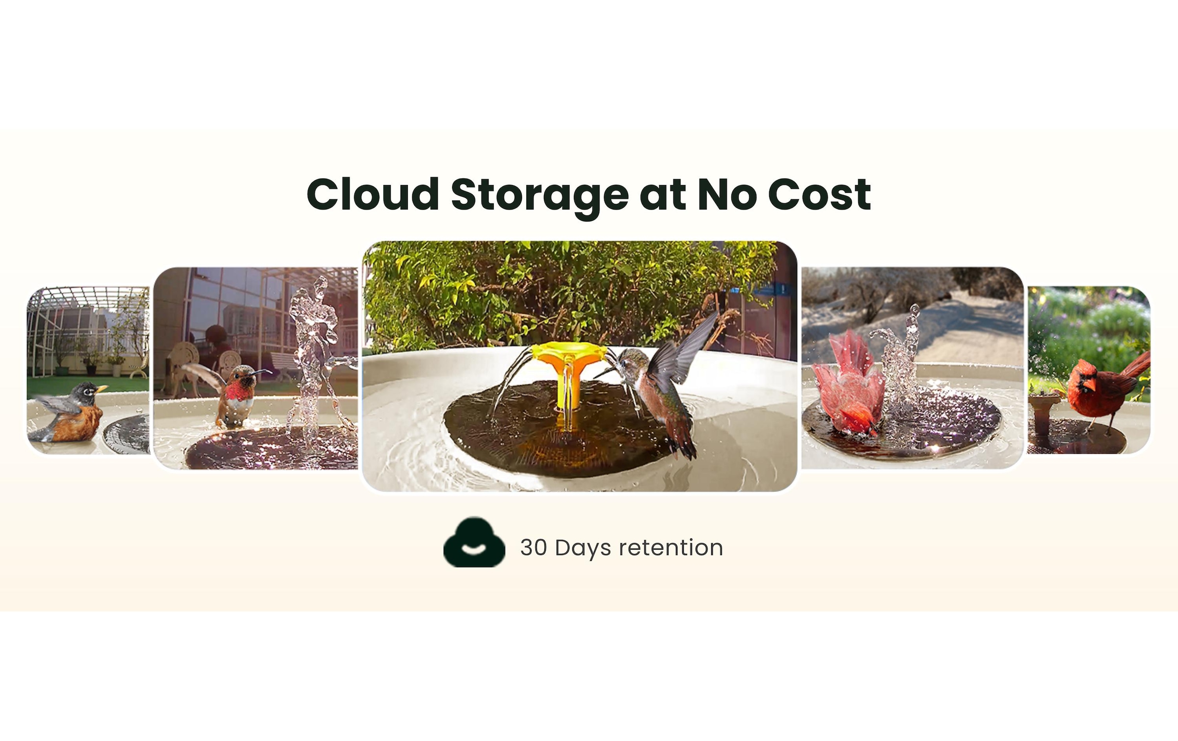 Birdfy Vogeltränke »Vogelbad mit Kamera« Solarbetrieben, KI und Video Vogelerkennung