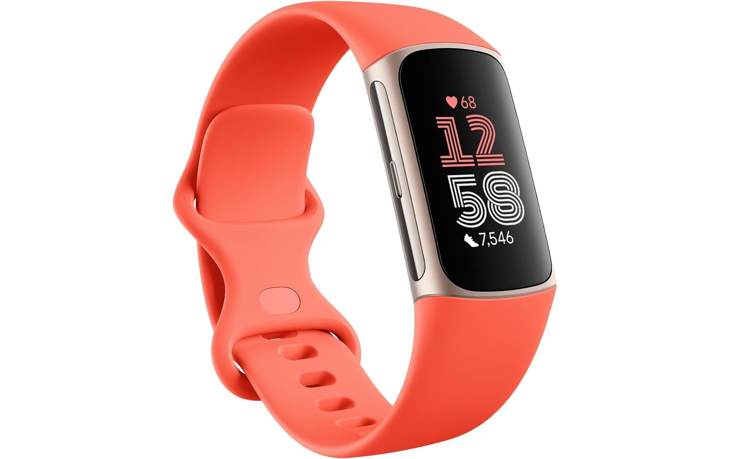 Fitness-Tracker »Charge 6«