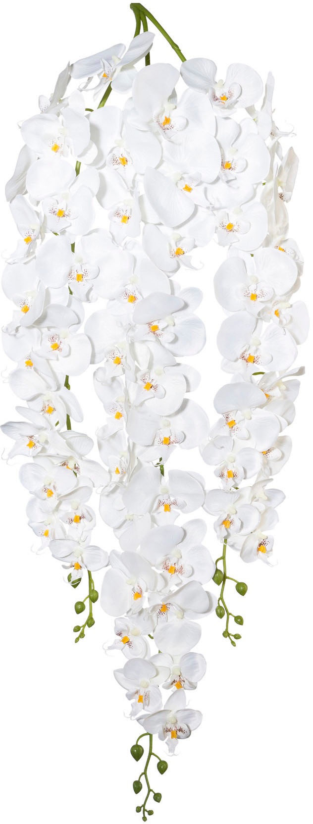Image of Creativ green Kunstorchidee »Phalaenopsisranke«, (1 St.) bei Ackermann Versand Schweiz