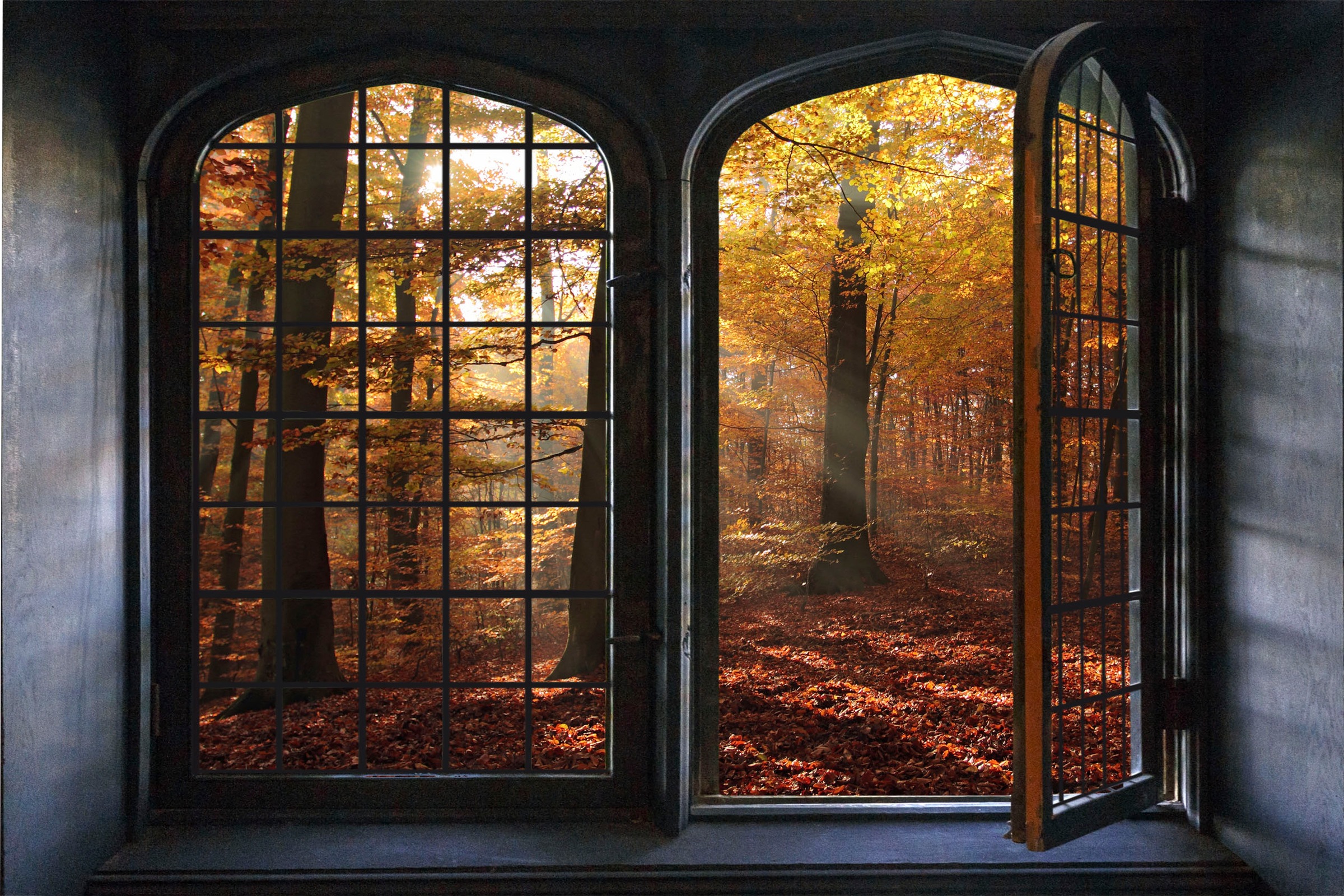 queence Autocollants muraux »Herbsttag« Wandsticker, Wandbild, selbstklebend, 3D, Fenster