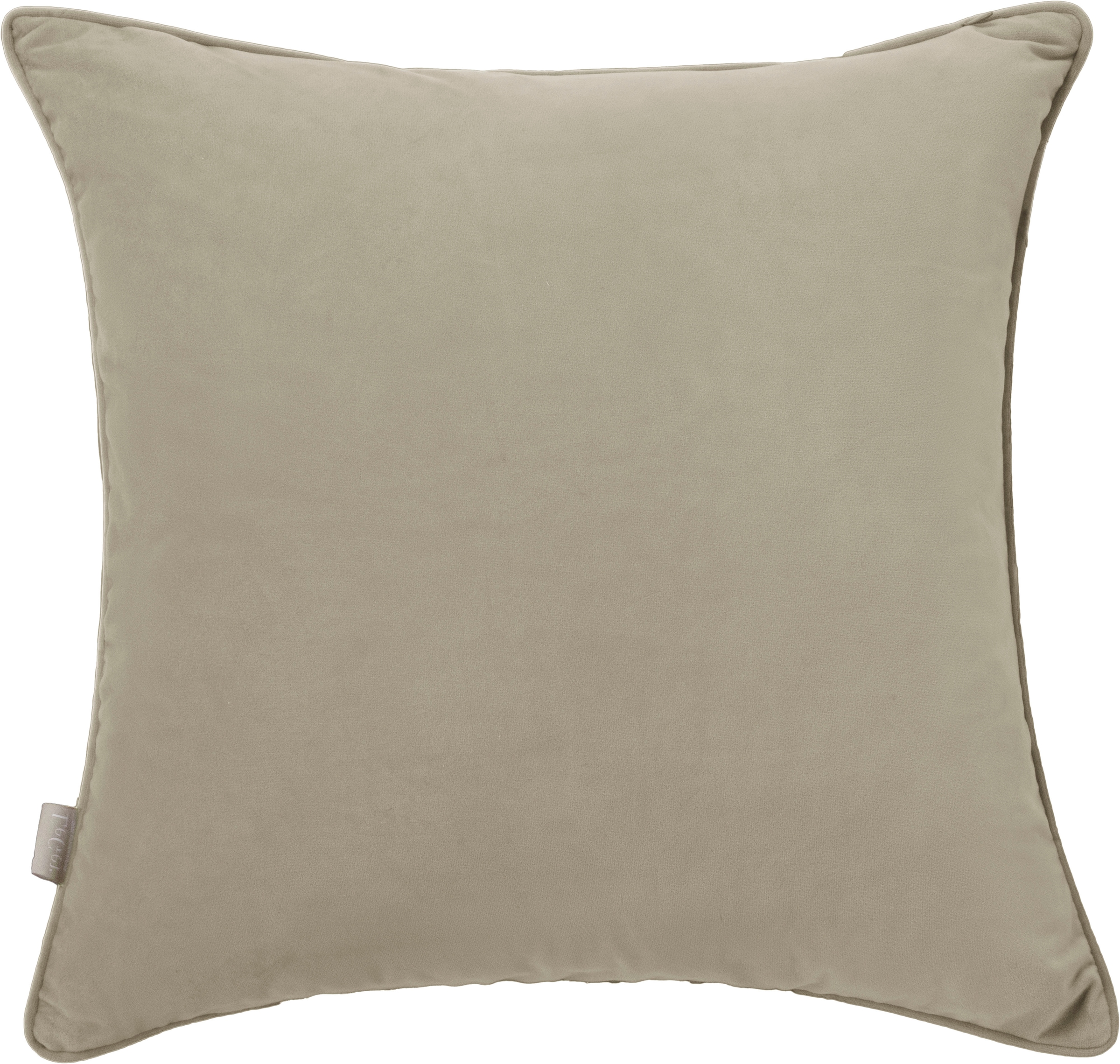 LeGer Home by Lena Gercke Coussin décoratif »Samt Ladina 2« kuschelig, ohne Füllung