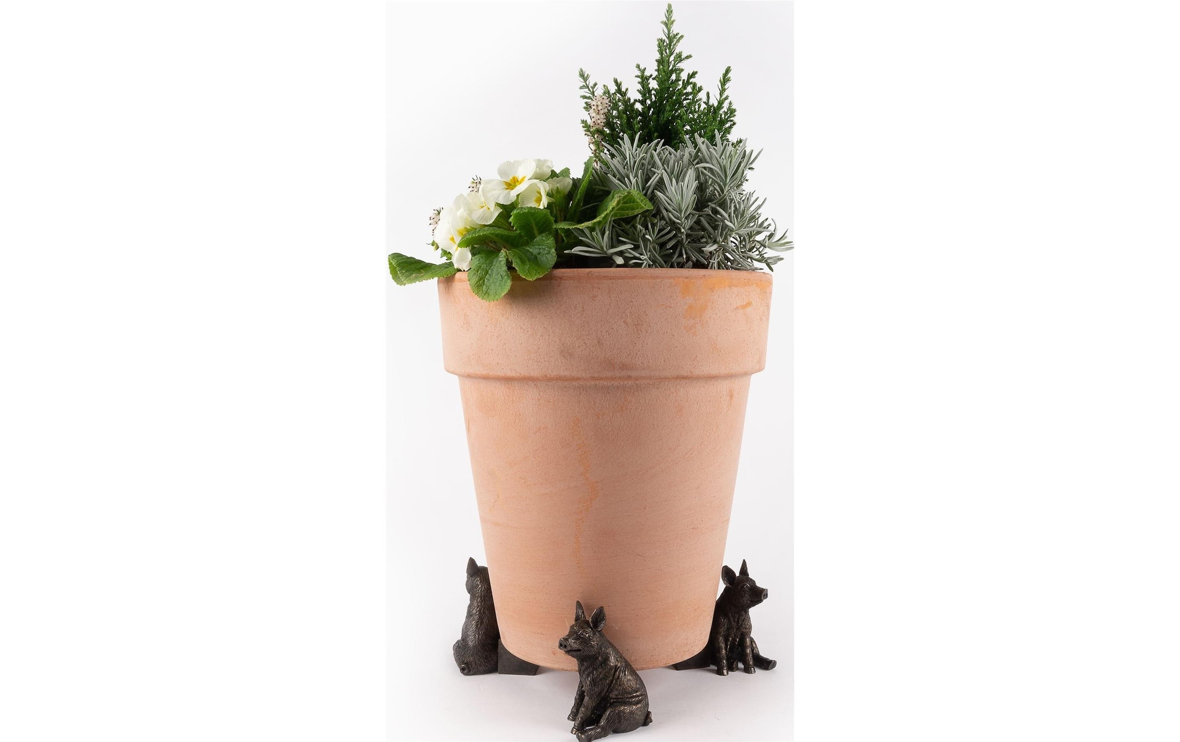 Blumenständer »Potty Feet Schwein«