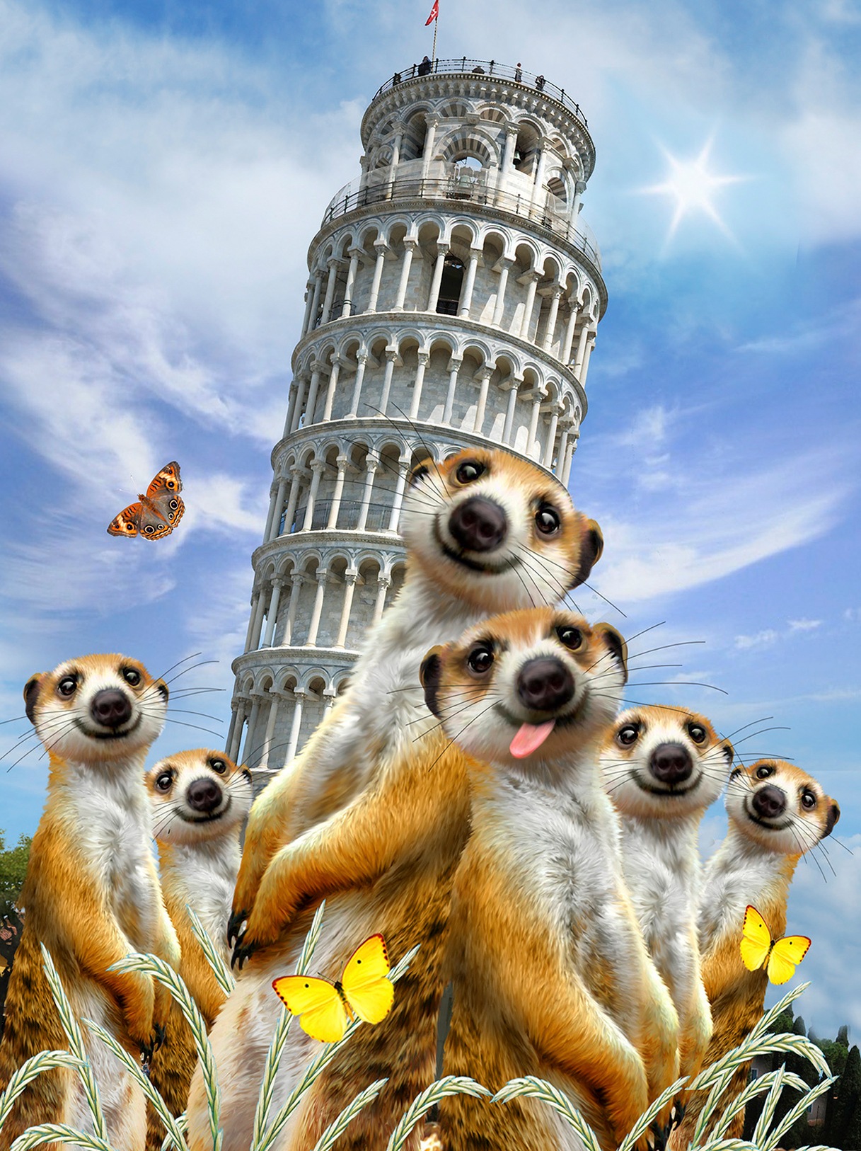 Image of Consalnet Vliestapete »SELFIES SURIKATE«, grafisch, in verschiedenen Grössen bei Ackermann Versand Schweiz