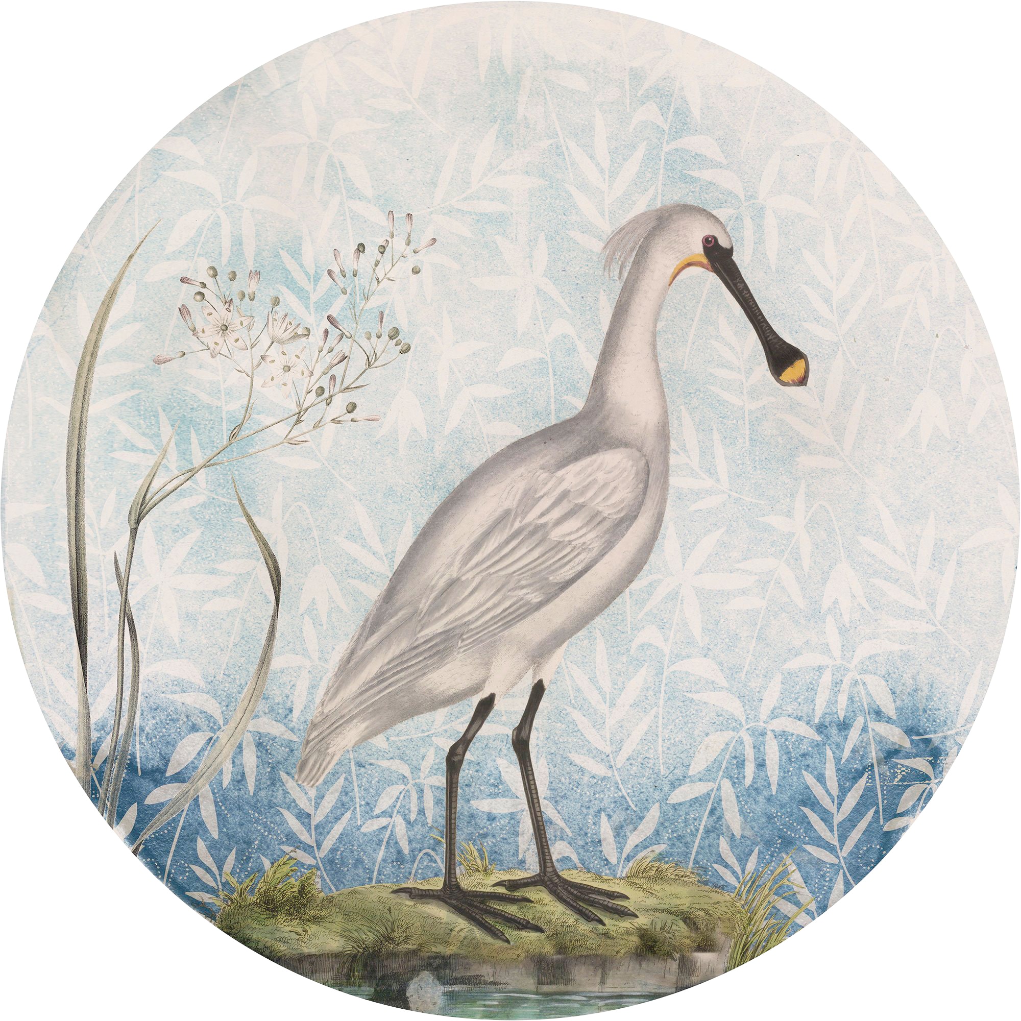 Image of Komar Fototapete "Vlies selbstklebend - Spoonbill - Grösse 125 x 125 cm" bedruckt glatt Wohnzimmer, Schlafzimmer