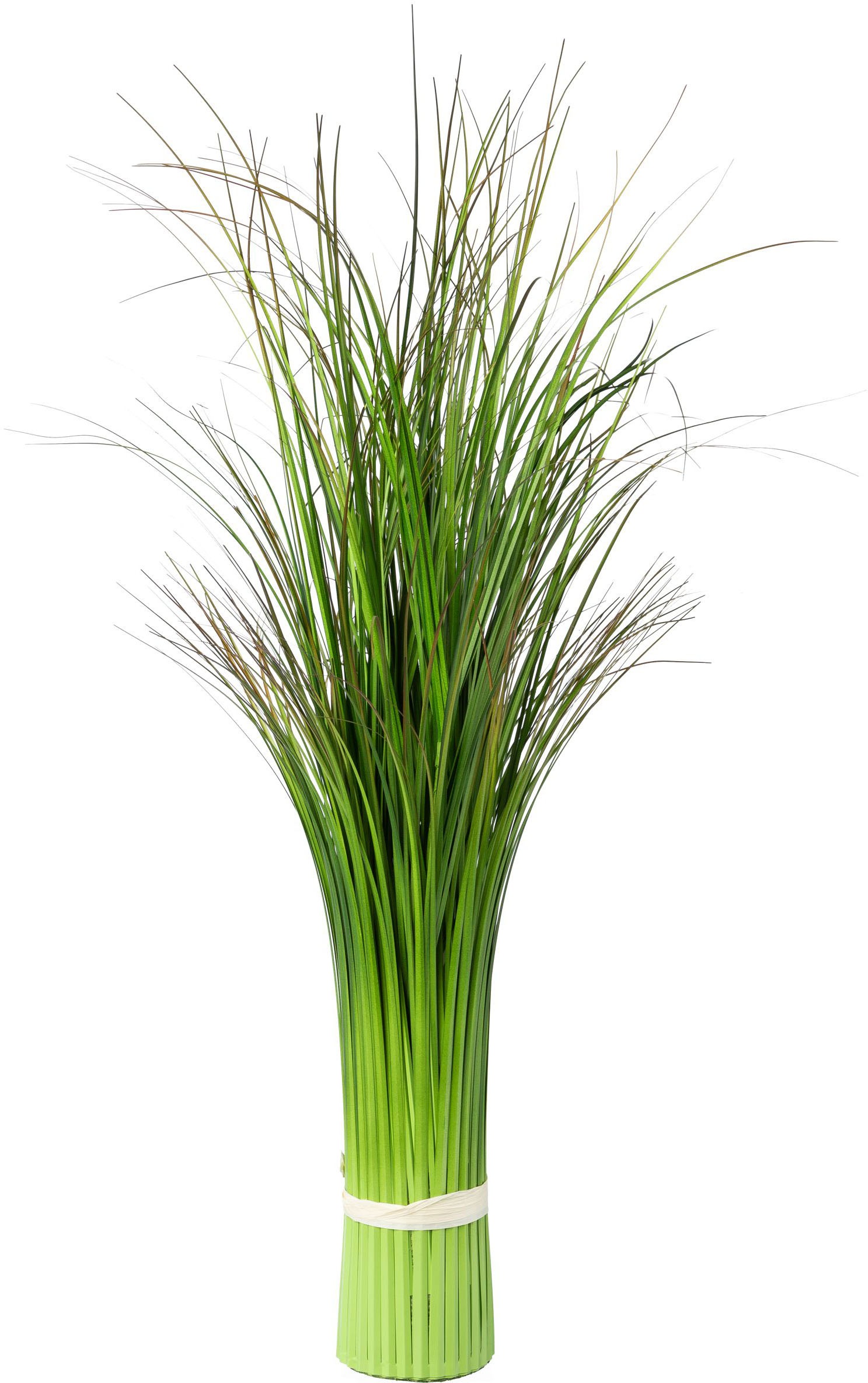Image of Creativ green Kunstgras »Stehgrasbündel«, (Set, 1 St.) bei Ackermann Versand Schweiz
