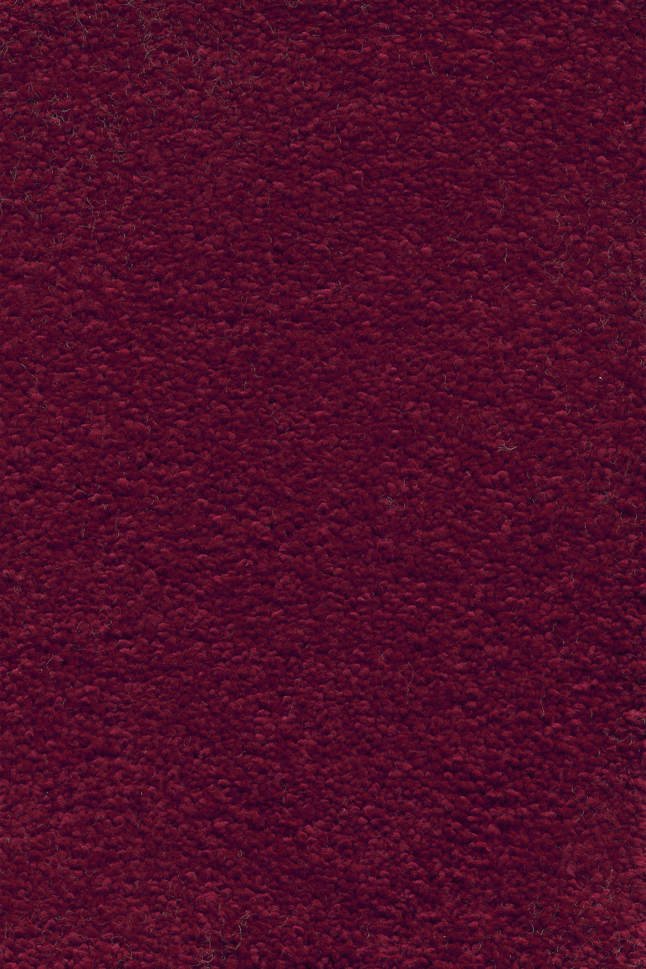 Image of Andiamo Teppichboden »Mosel«, rechteckig, 13,5 mm Höhe, Meterware, Breite 400 cm oder 500 cm, Uni Farben, Wohnzimmer bei Ackermann Versand Schweiz